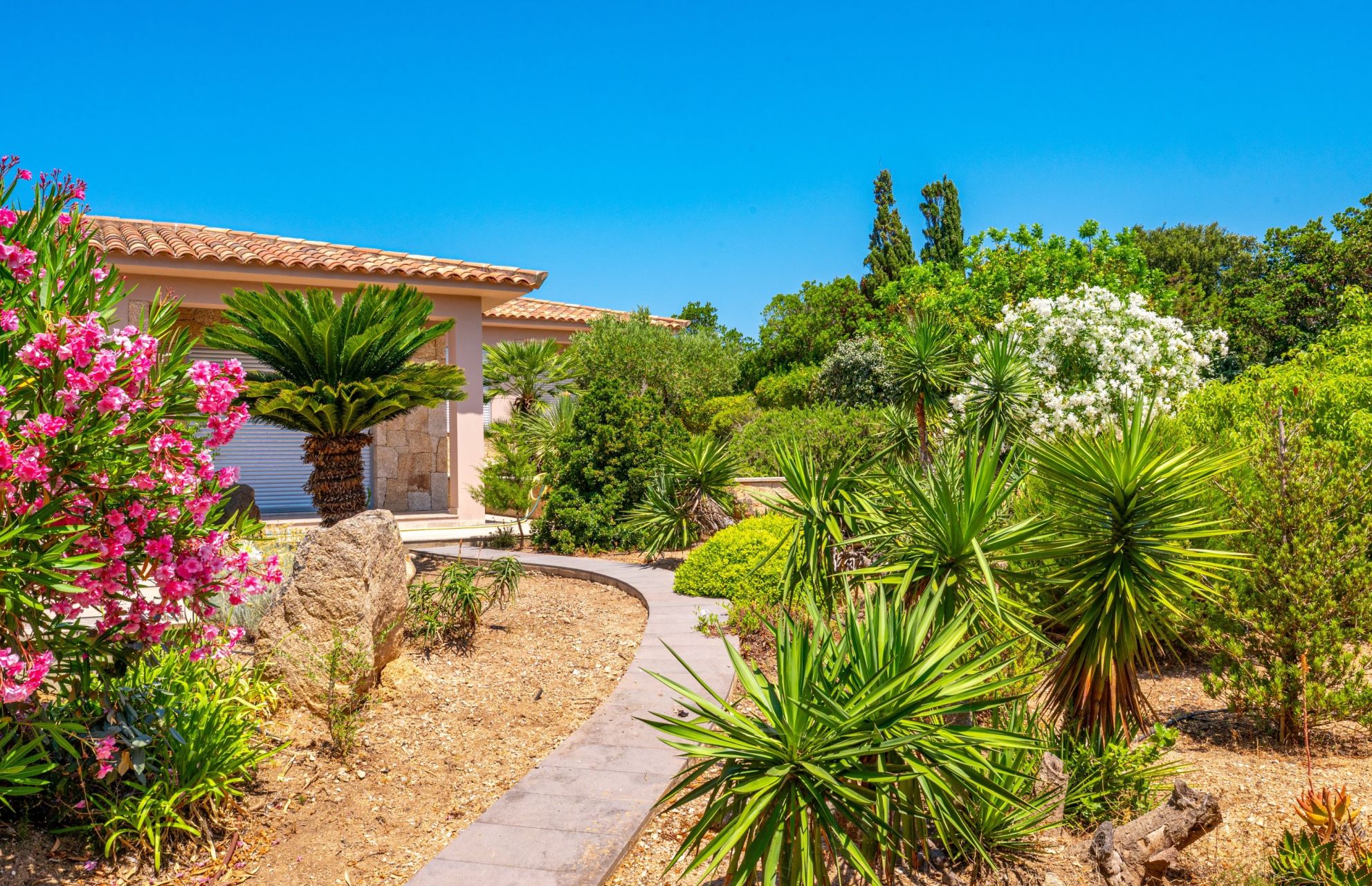 luxury villa 7 Rooms for sale on SARTENE (20100)