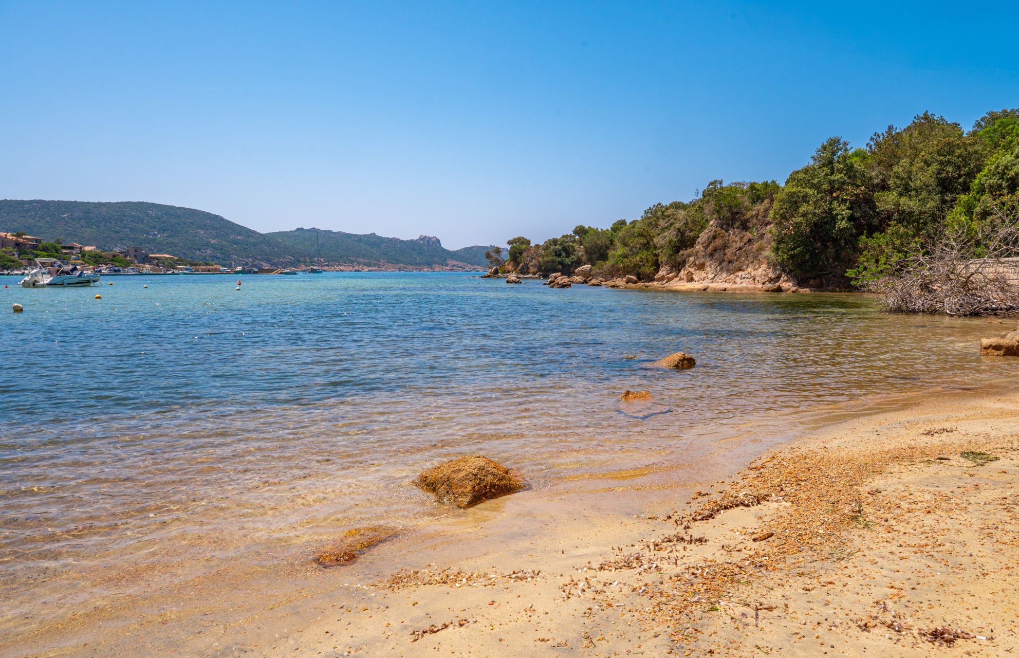 luxury villa 7 Rooms for sale on SARTENE (20100)