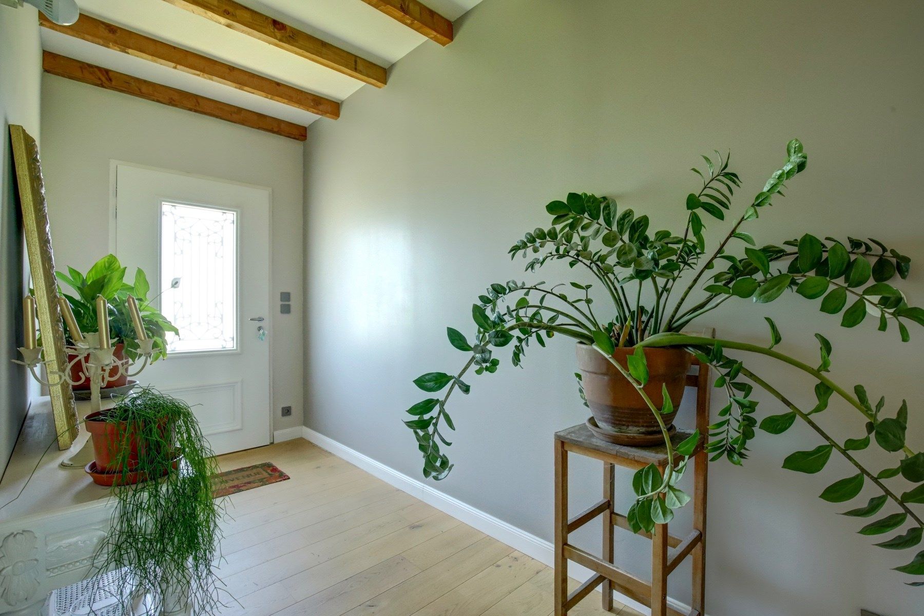 maison de luxe 8 Pièces en vente sur LAVAUR (81500)