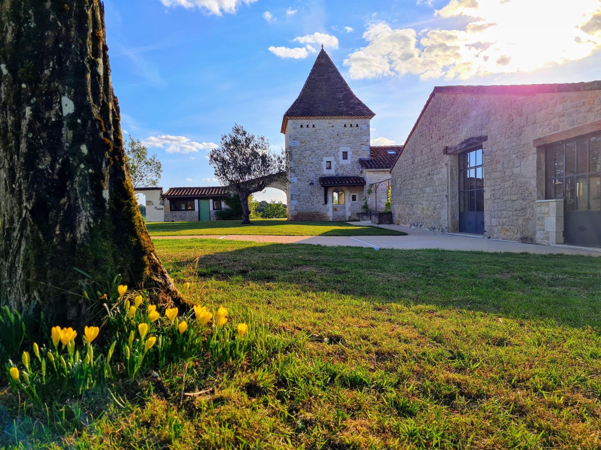 luxury house 20 Rooms for sale on FUMEL (47500)