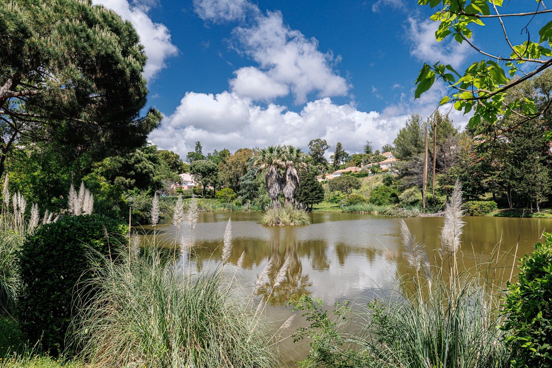 luxury villa 5 Rooms for sale on VILLENEUVE LOUBET (06270)