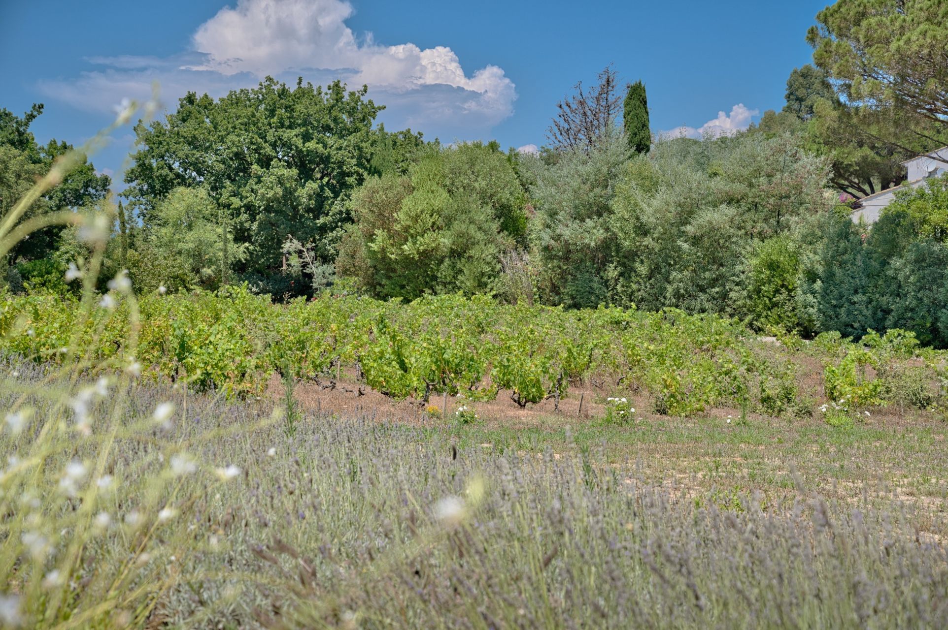 bastide 8 Pièces en vente sur RAMATUELLE (83350)