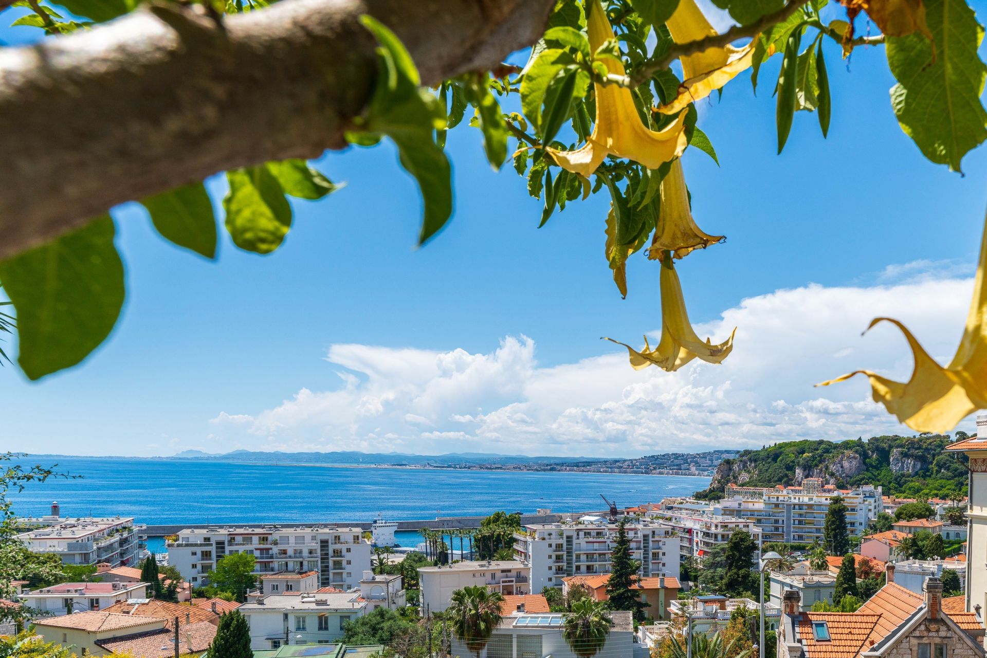 appartement de luxe 3 Pièces en vente sur NICE (06000)