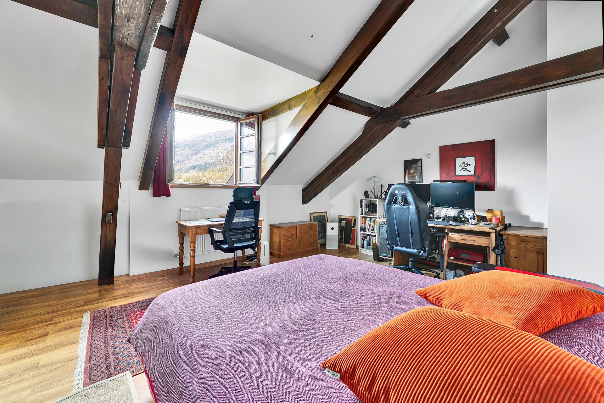 maison de ville 12 Pièces en vente sur GEX (01170)