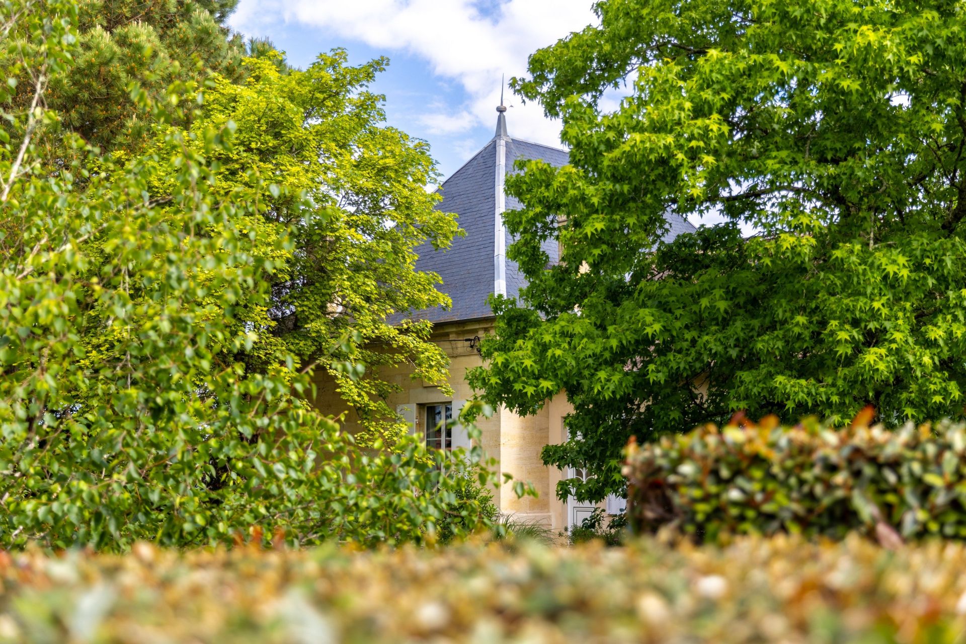 wine estate 5 Rooms for sale on BORDEAUX (33000)