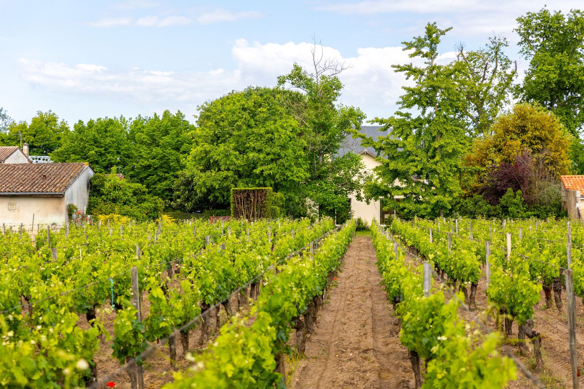 propriété viticole 5 Pièces en vente sur BORDEAUX (33000)