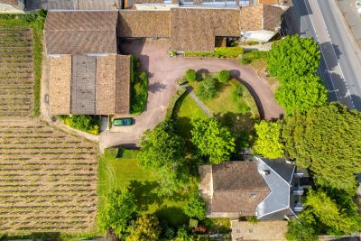 Sale Wine estate Bordeaux 5 Rooms 230 m²