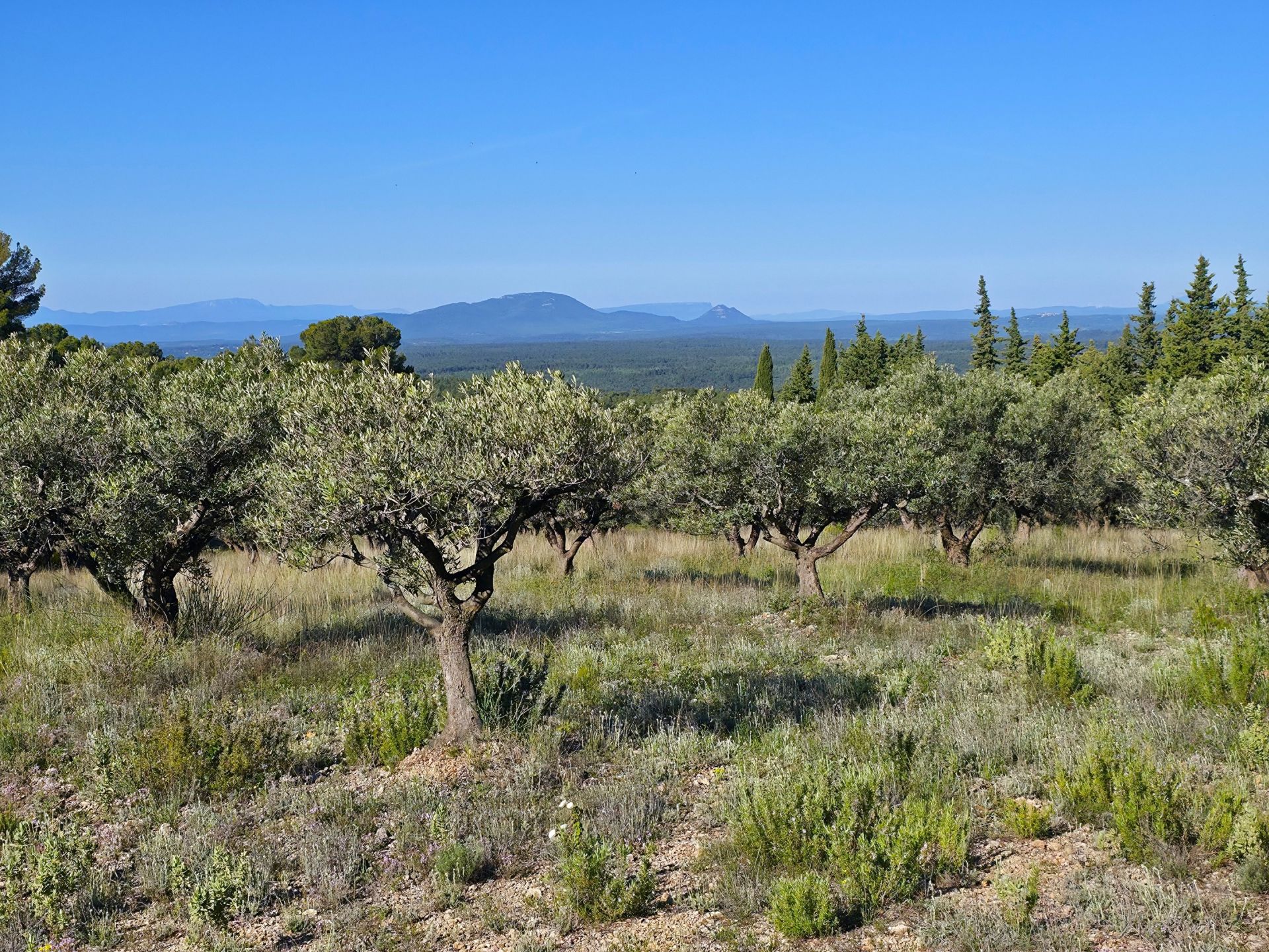 bastide 14 Pièces en vente sur TOURTOUR (83690)