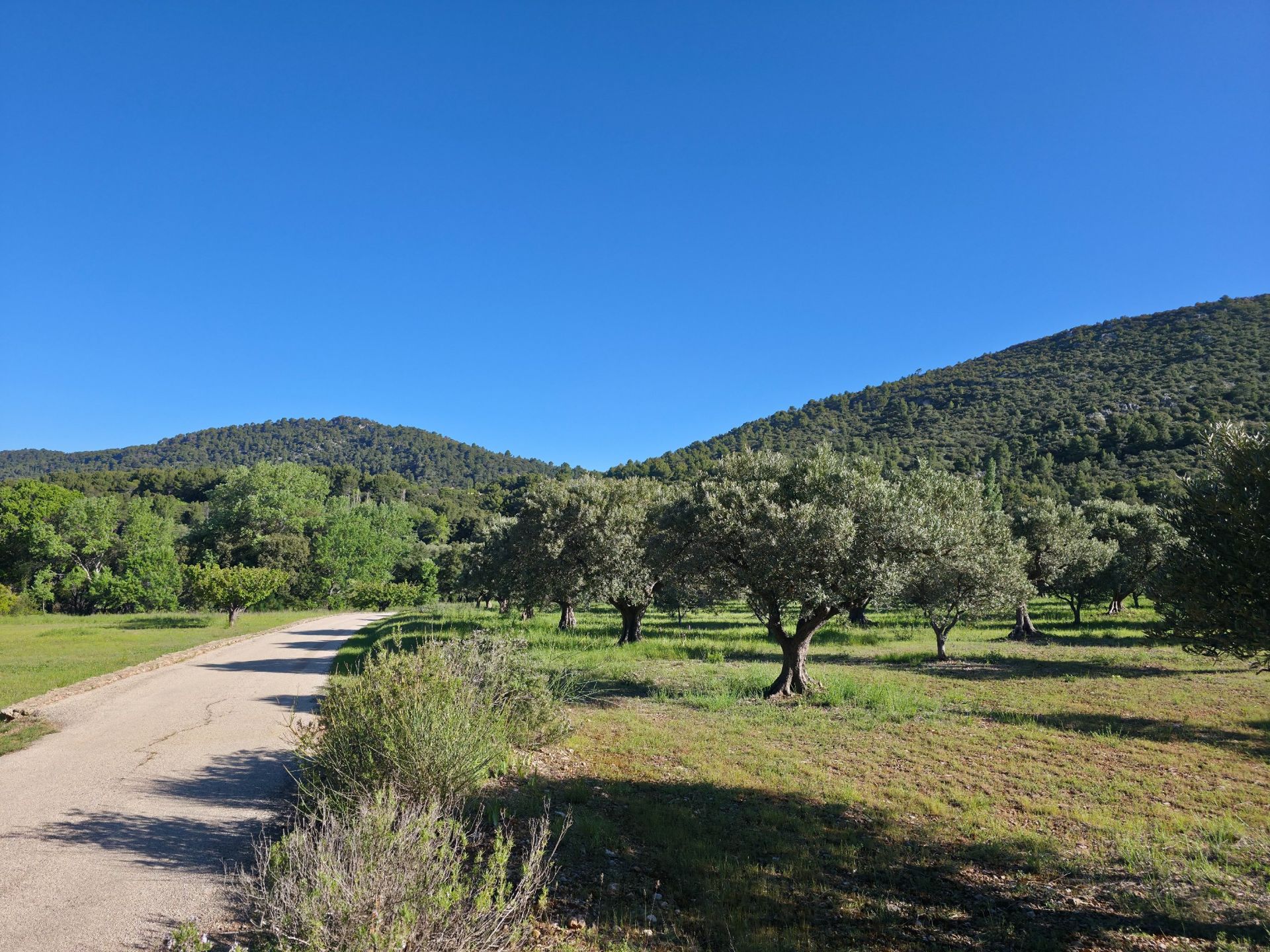 bastide 14 Pièces en vente sur TOURTOUR (83690)