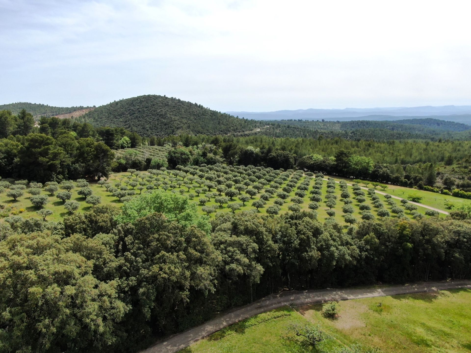 bastide 14 Pièces en vente sur TOURTOUR (83690)