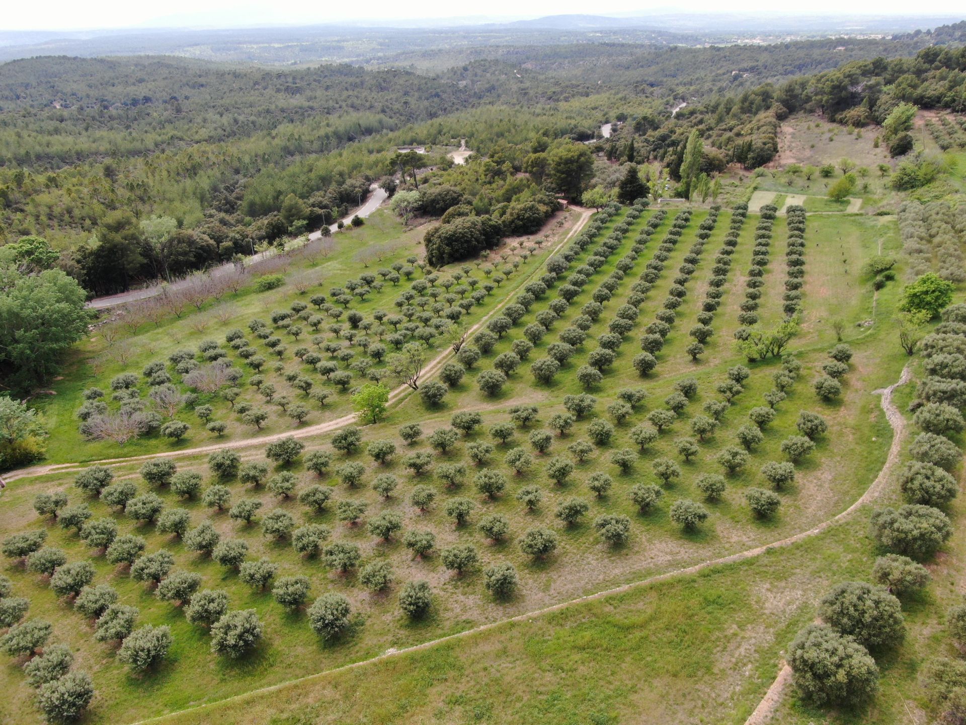 bastide 14 Pièces en vente sur TOURTOUR (83690)