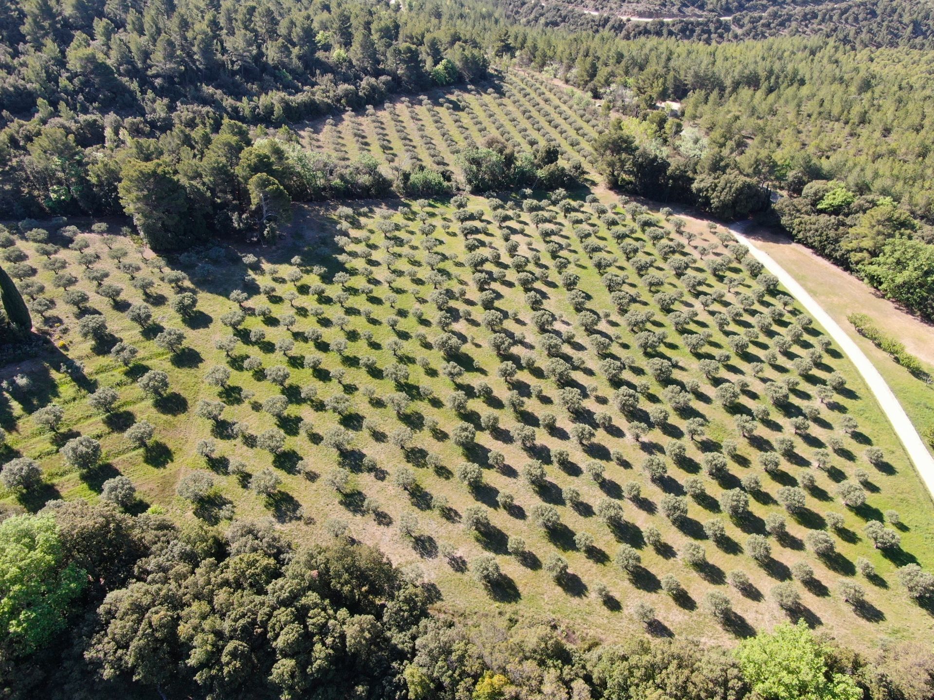 bastide 14 Pièces en vente sur TOURTOUR (83690)