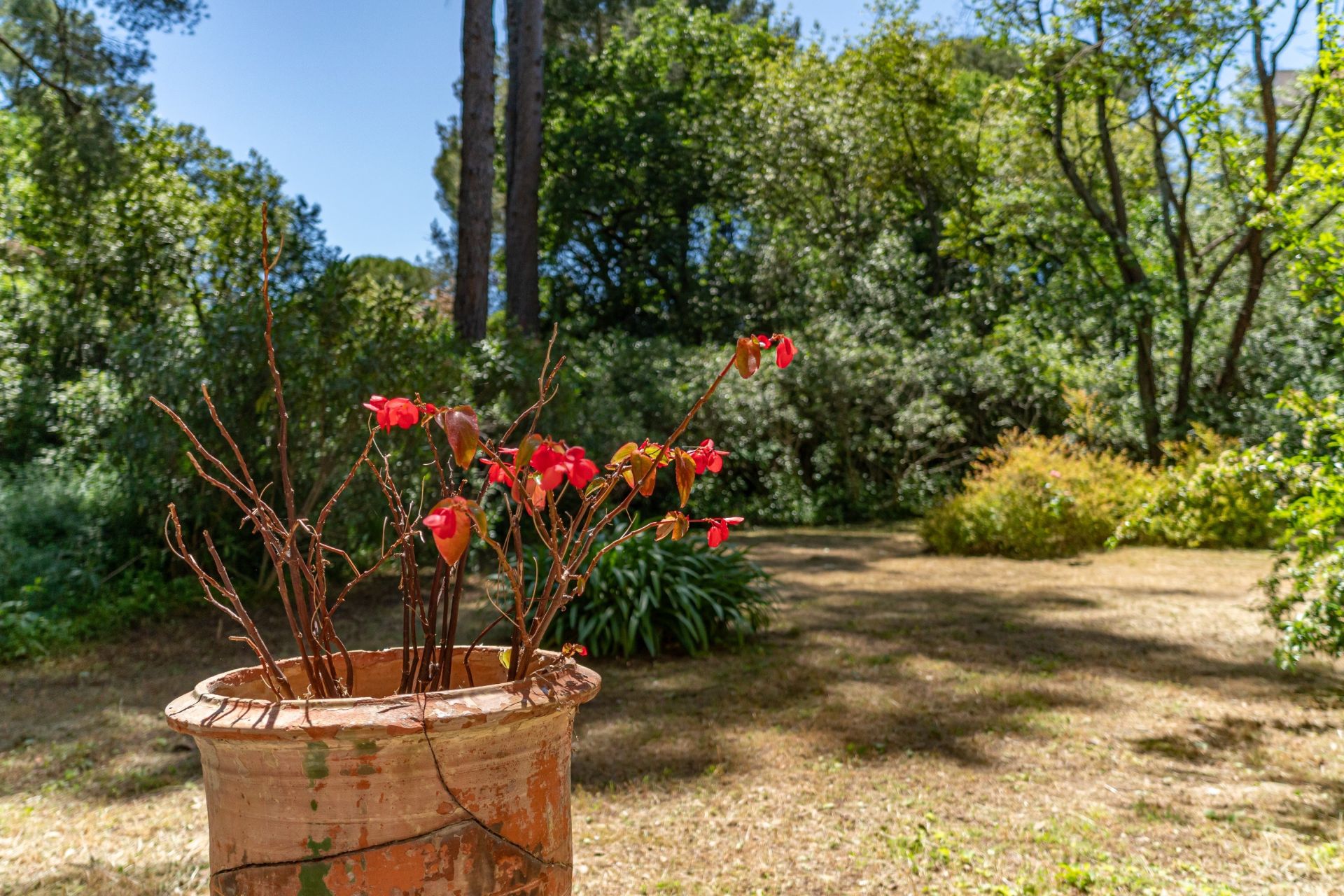 luxury house 9 Rooms for sale on MONTPELLIER (34000)