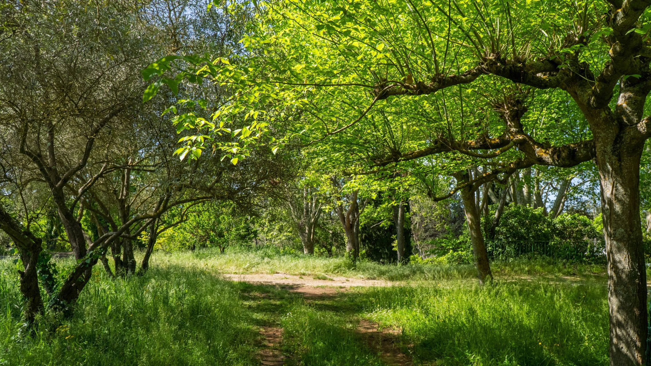 luxury house 36 Rooms for sale on AIX EN PROVENCE (13100)
