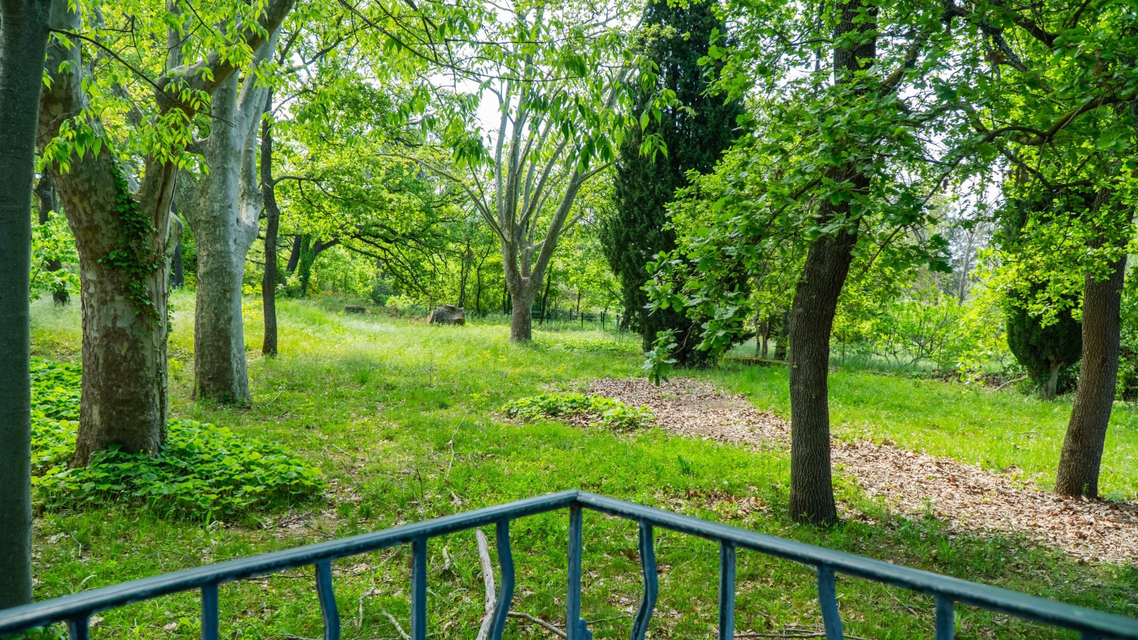 luxury house 36 Rooms for sale on AIX EN PROVENCE (13100)