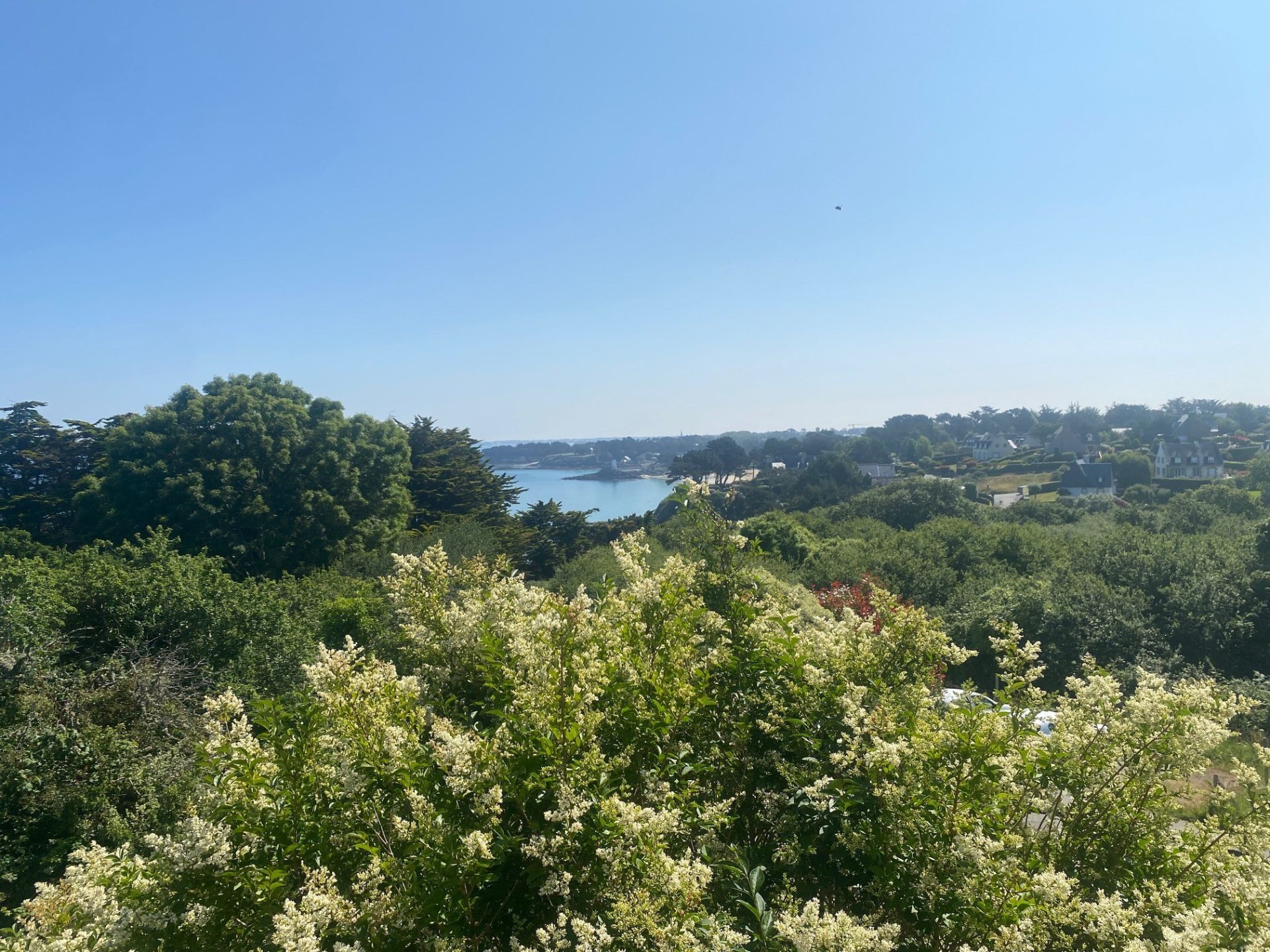 maison de luxe 10 Pièces en vente sur ST LUNAIRE (35800)
