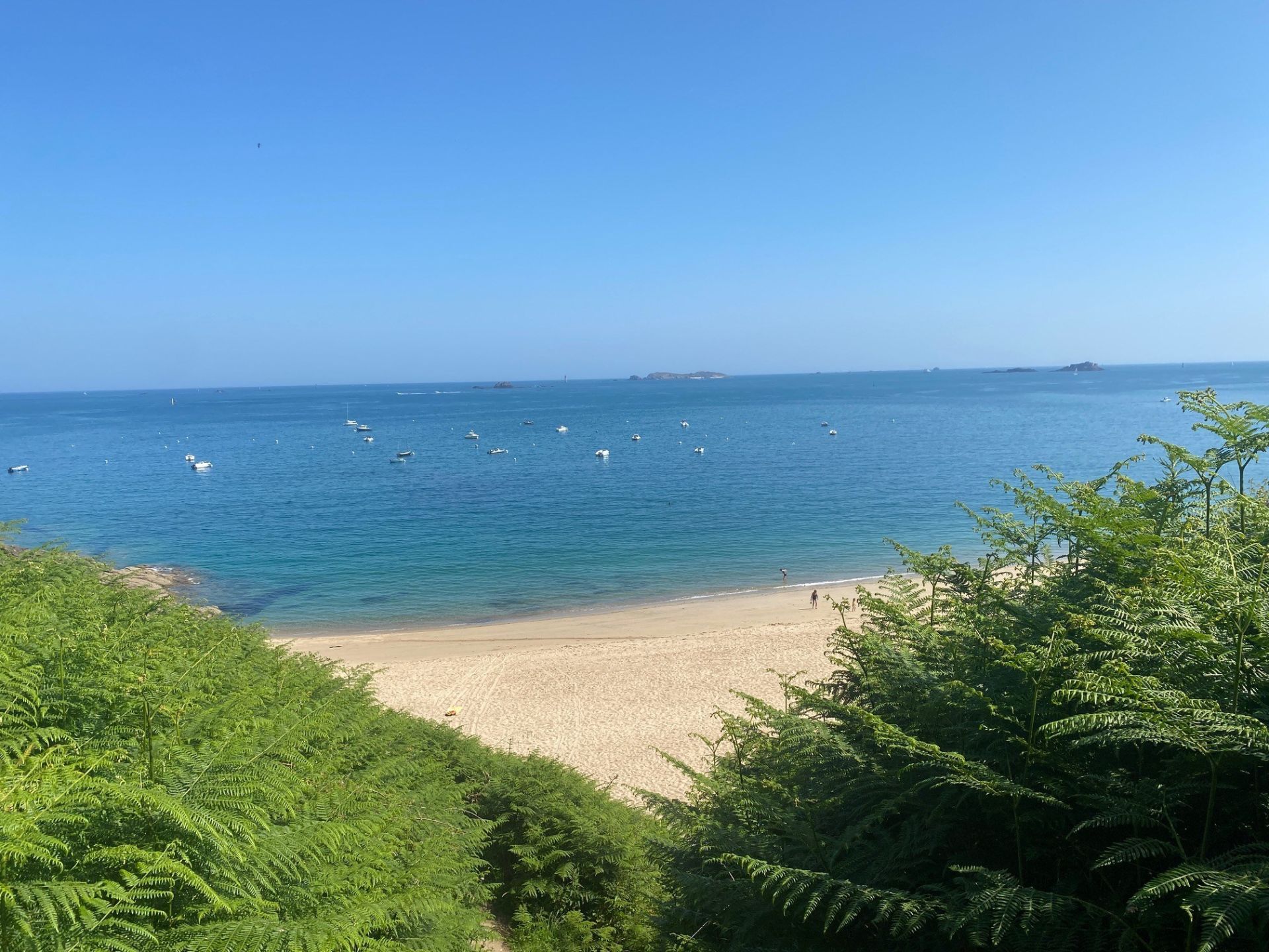 maison de luxe 10 Pièces en vente sur ST LUNAIRE (35800)