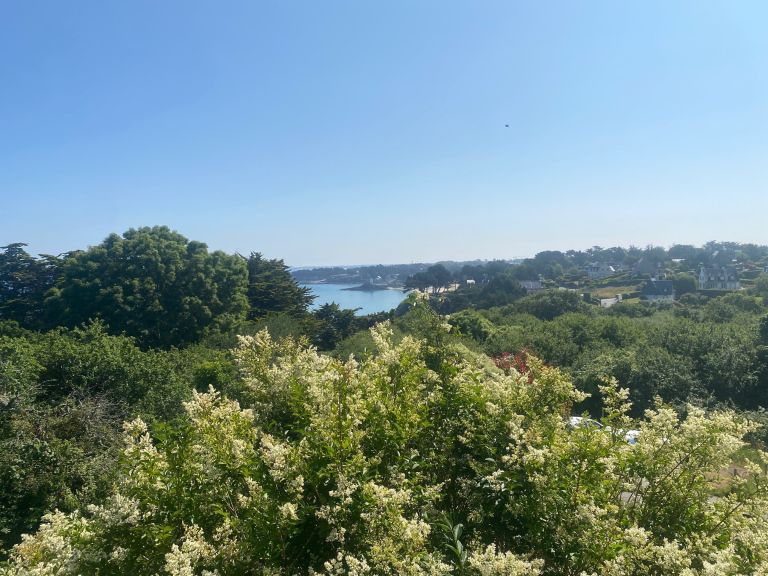 luxury house 10 Rooms for sale on ST LUNAIRE (35800)