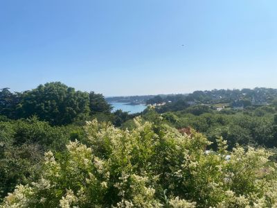 Sale Luxury house Saint-Lunaire 10 Rooms 203 m²