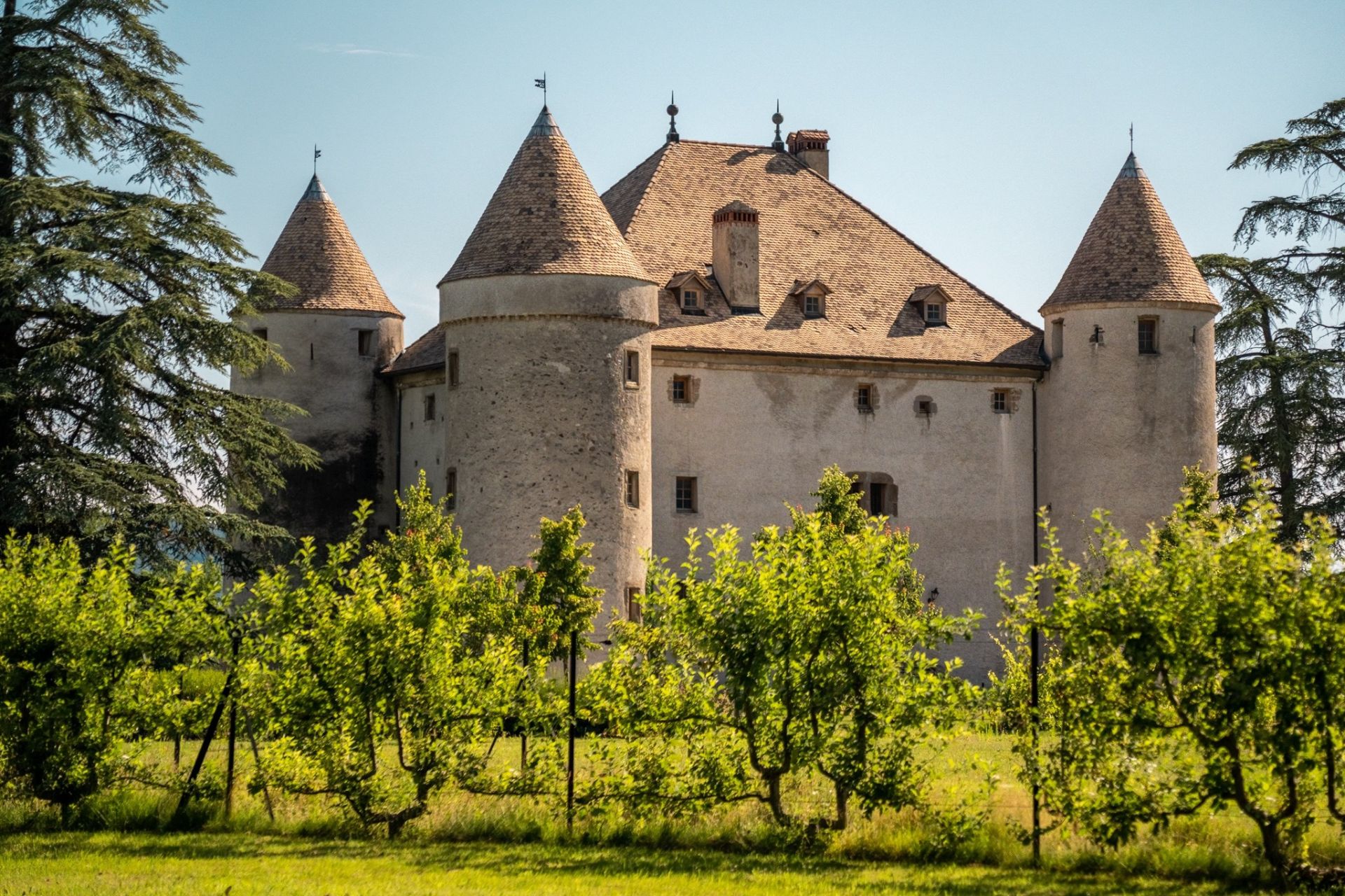 château 19 Pièces en vente sur LULLY (74890)