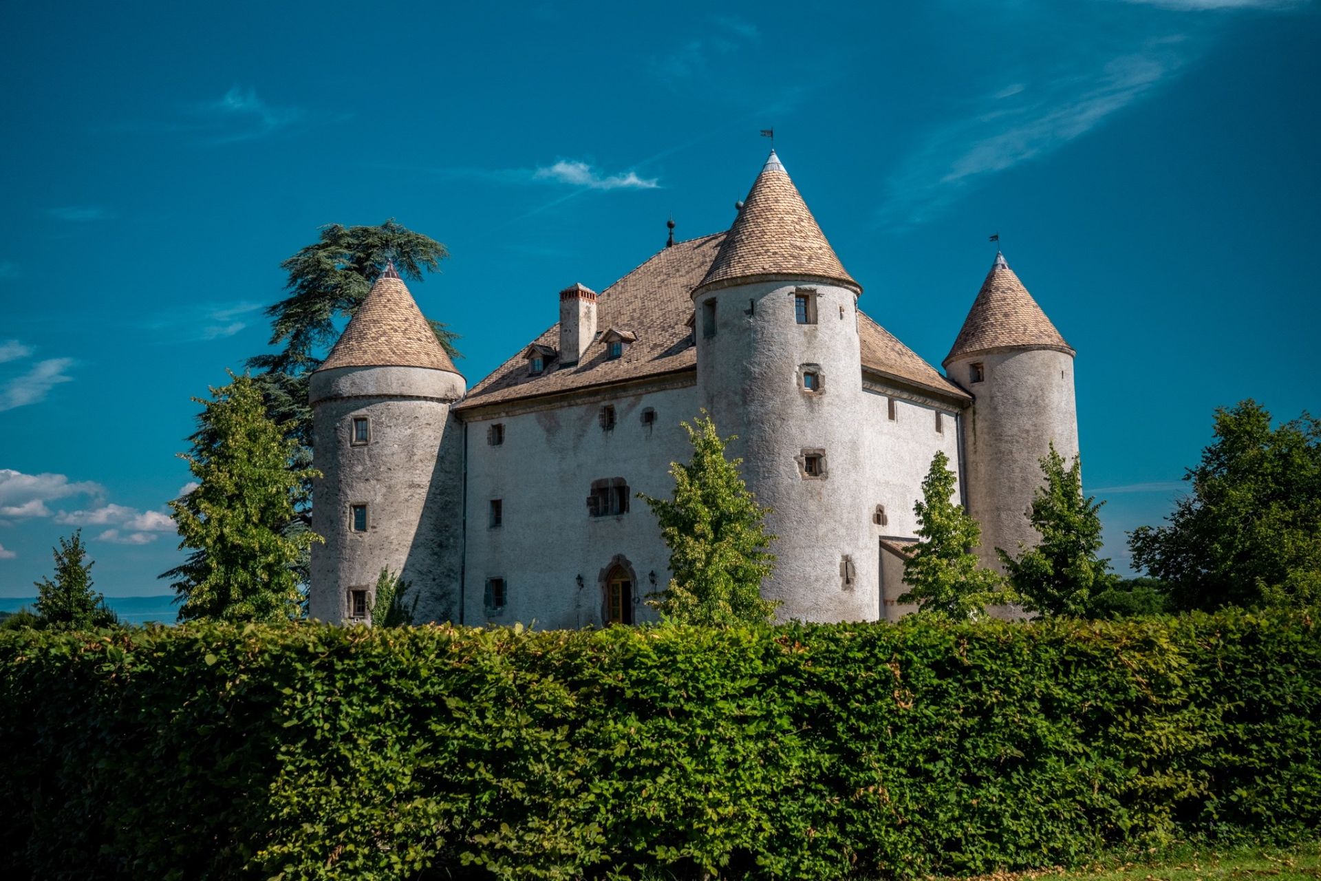 château 19 Pièces en vente sur LULLY (74890)