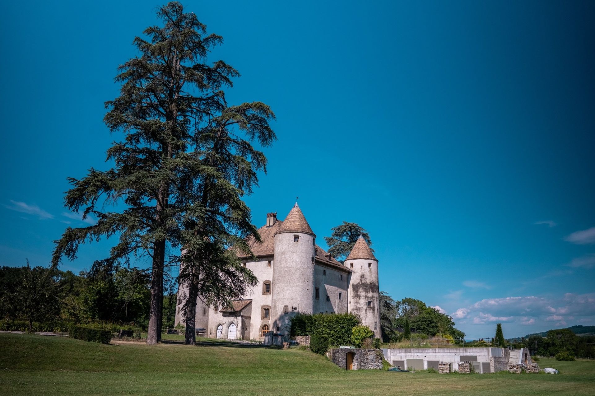 castle 19 Rooms for sale on LULLY (74890)