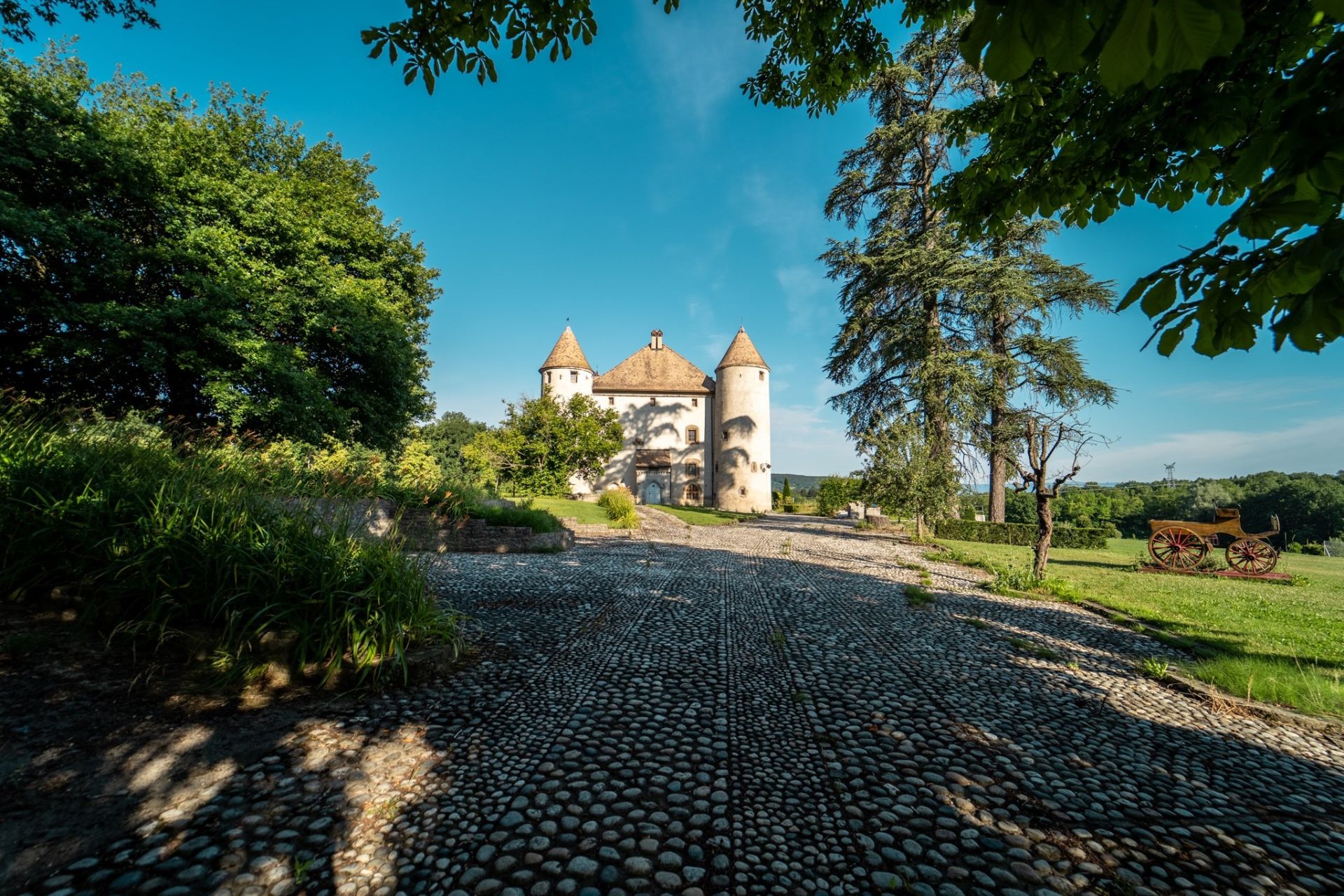 château 19 Pièces en vente sur LULLY (74890)