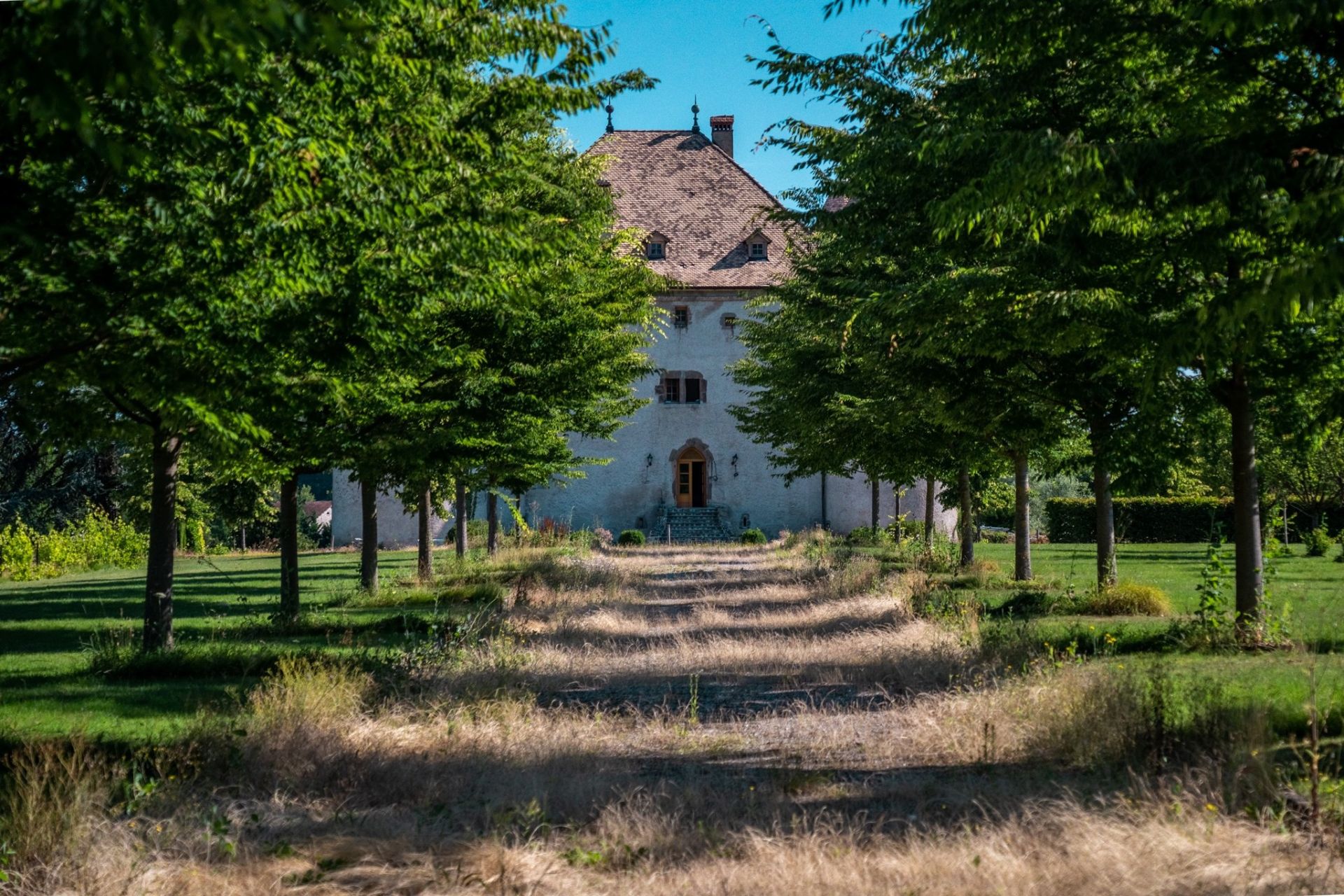 castle 19 Rooms for sale on LULLY (74890)