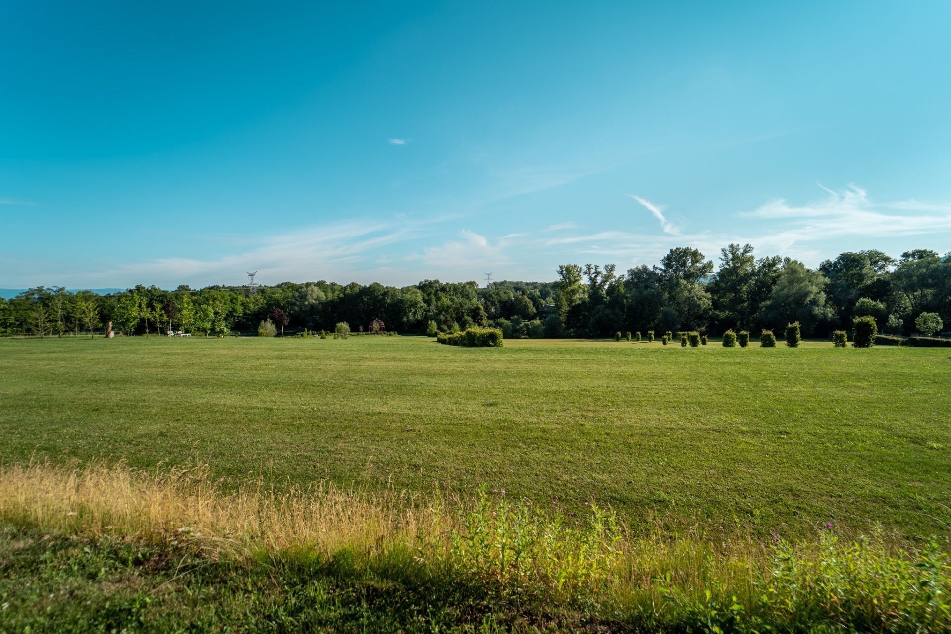 castle 19 Rooms for sale on LULLY (74890)