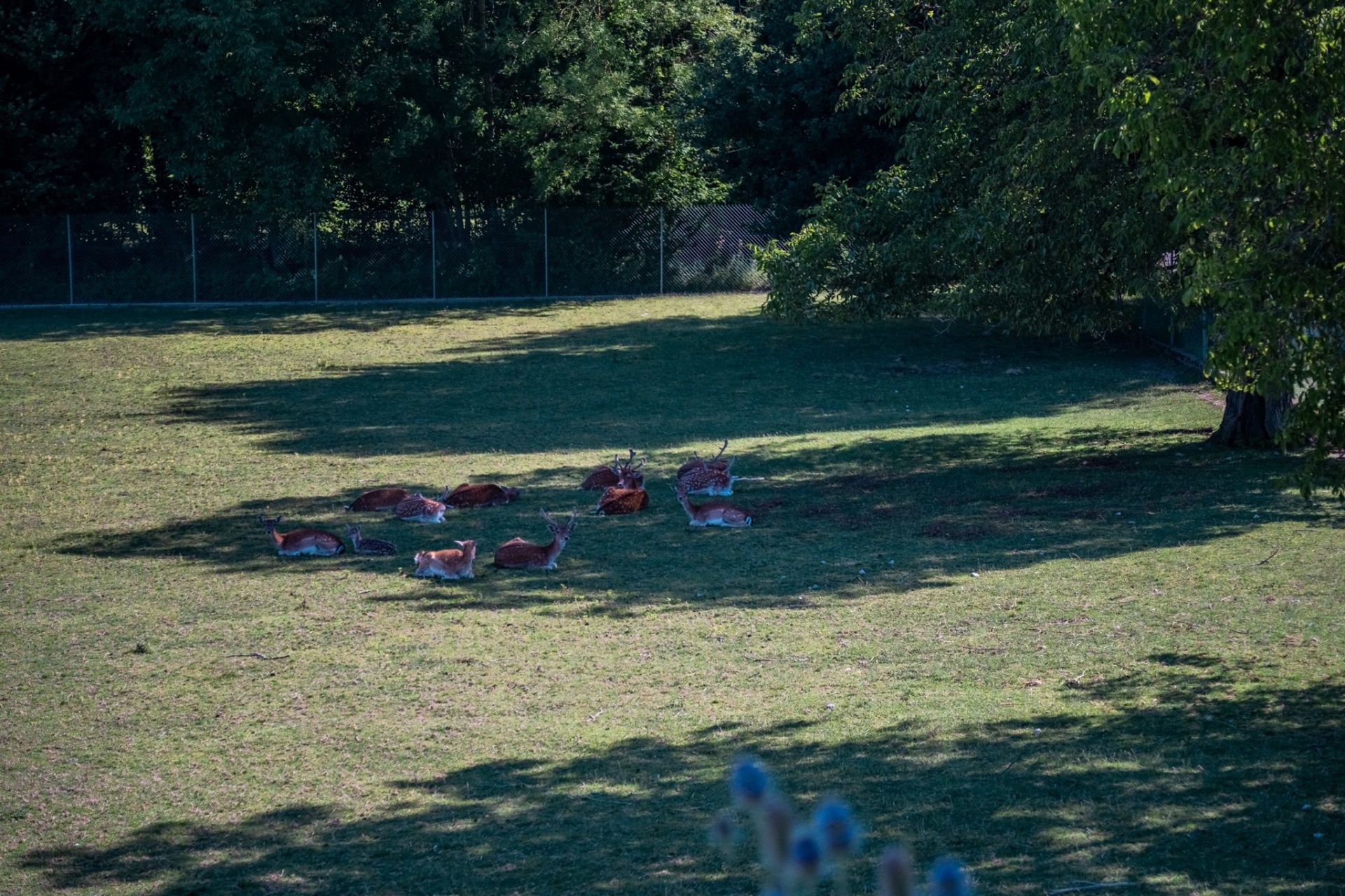 castle 19 Rooms for sale on LULLY (74890)