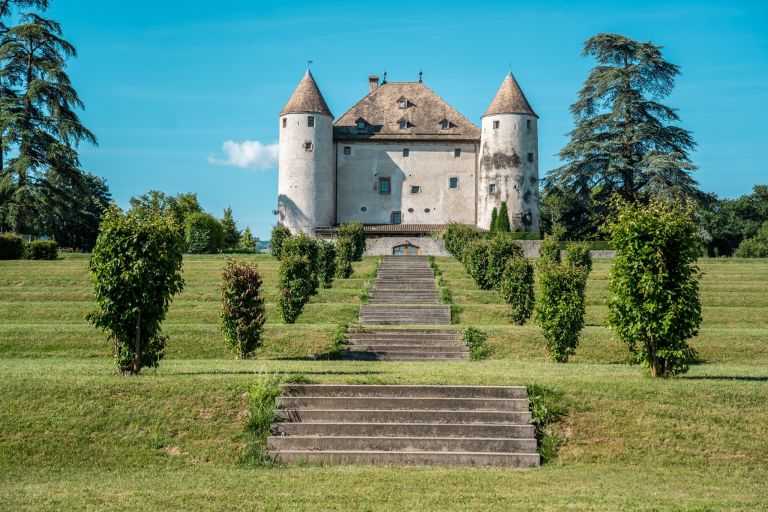 château 19 Pièces en vente sur LULLY (74890)