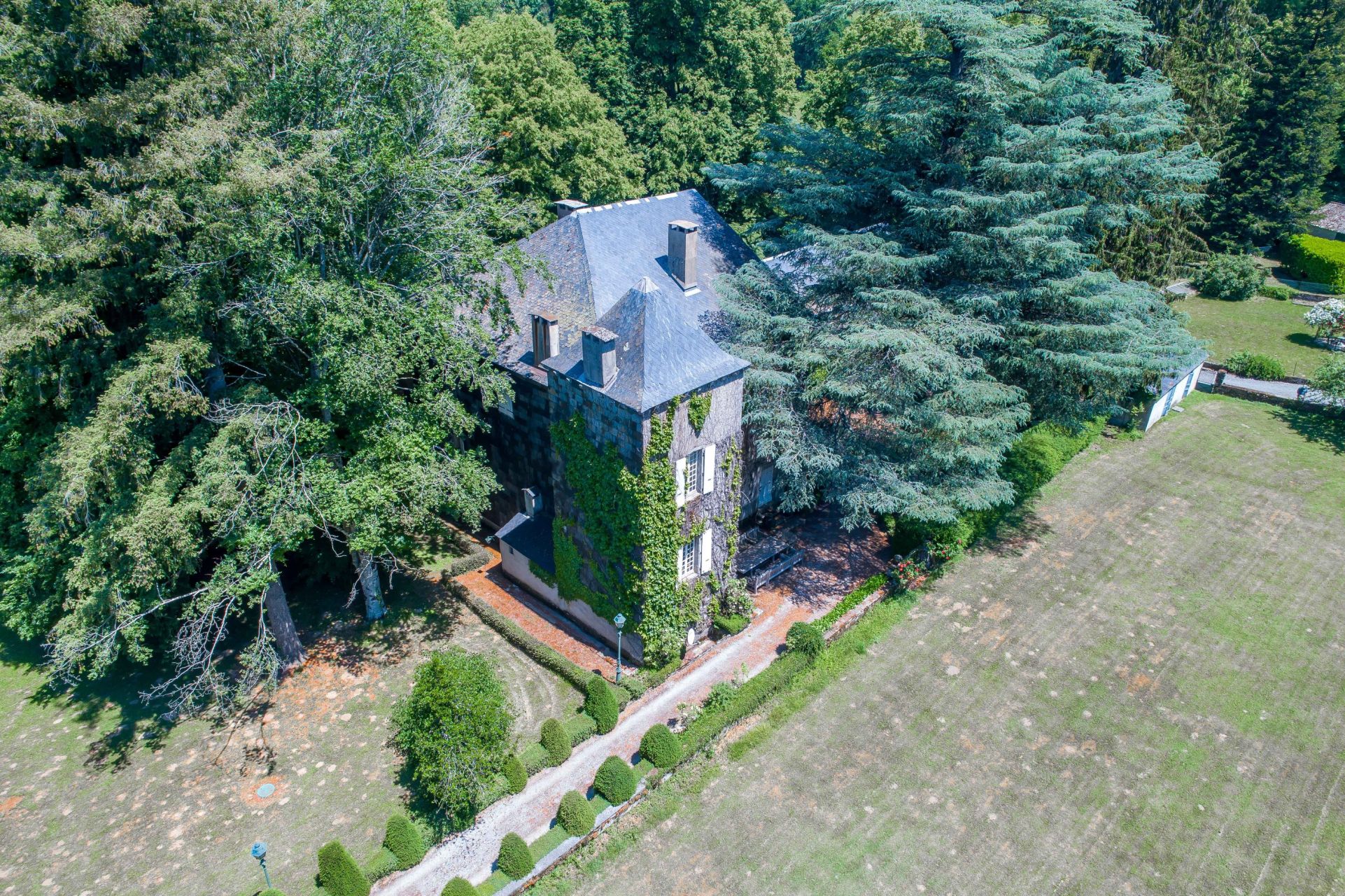 manor house 28 Rooms for sale on CASTRES (81100)