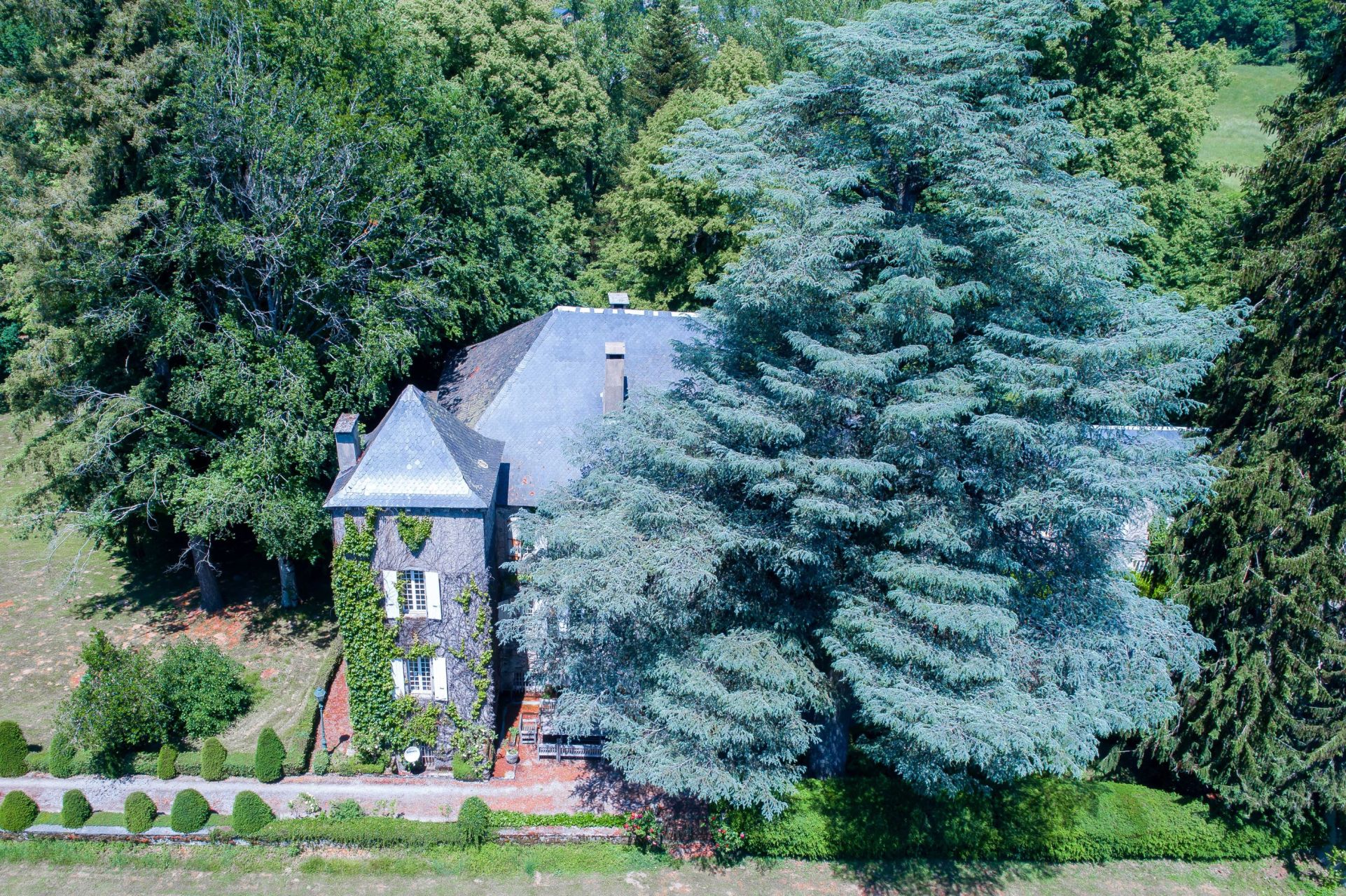 manor house 28 Rooms for sale on CASTRES (81100)