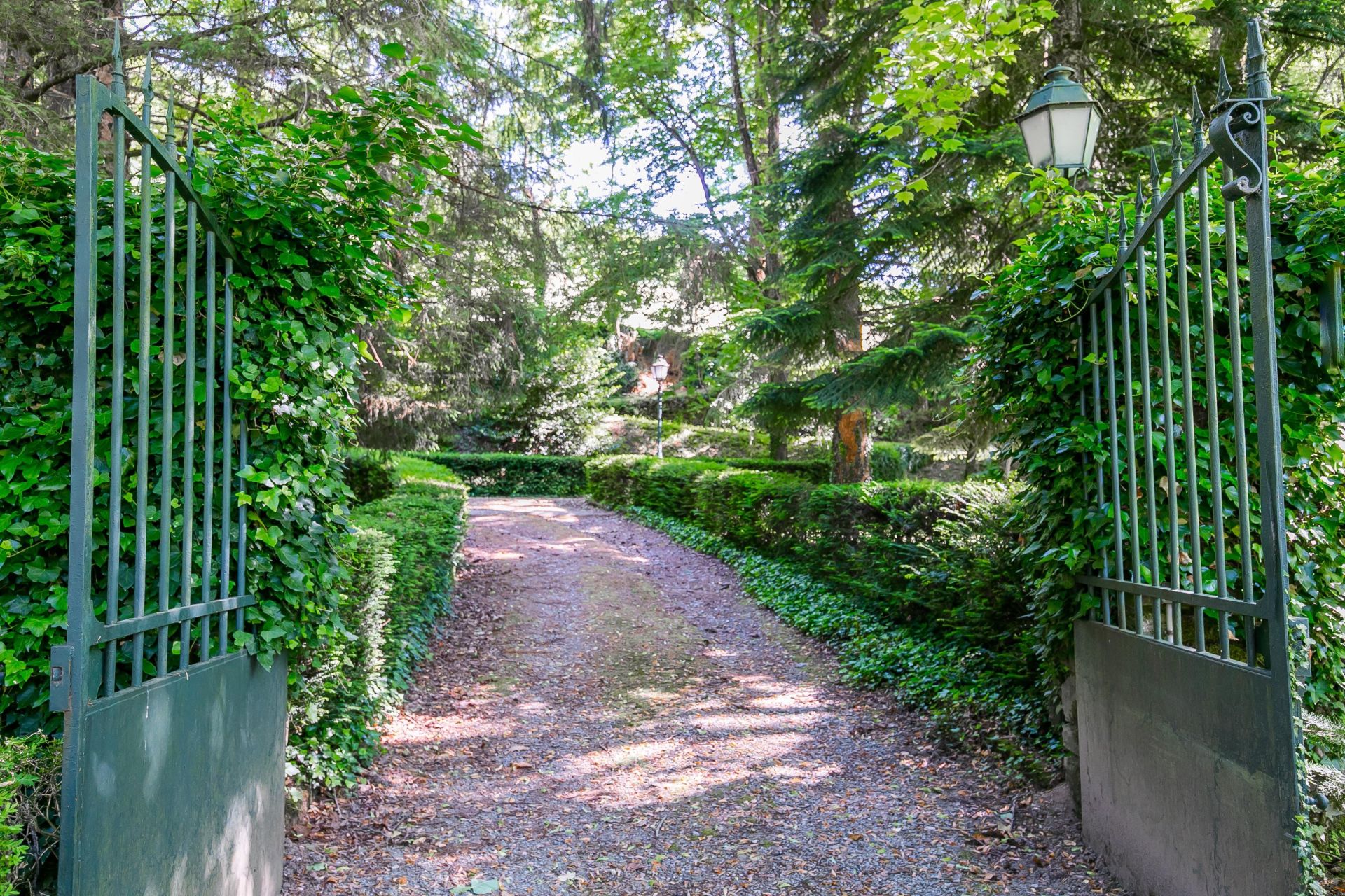 manor house 28 Rooms for sale on CASTRES (81100)