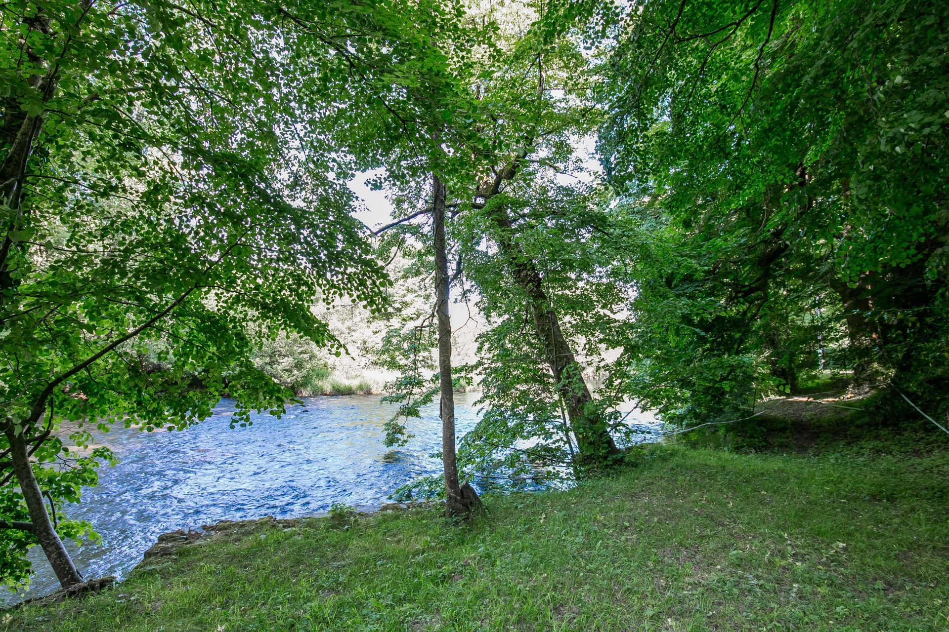 manor house 28 Rooms for sale on CASTRES (81100)