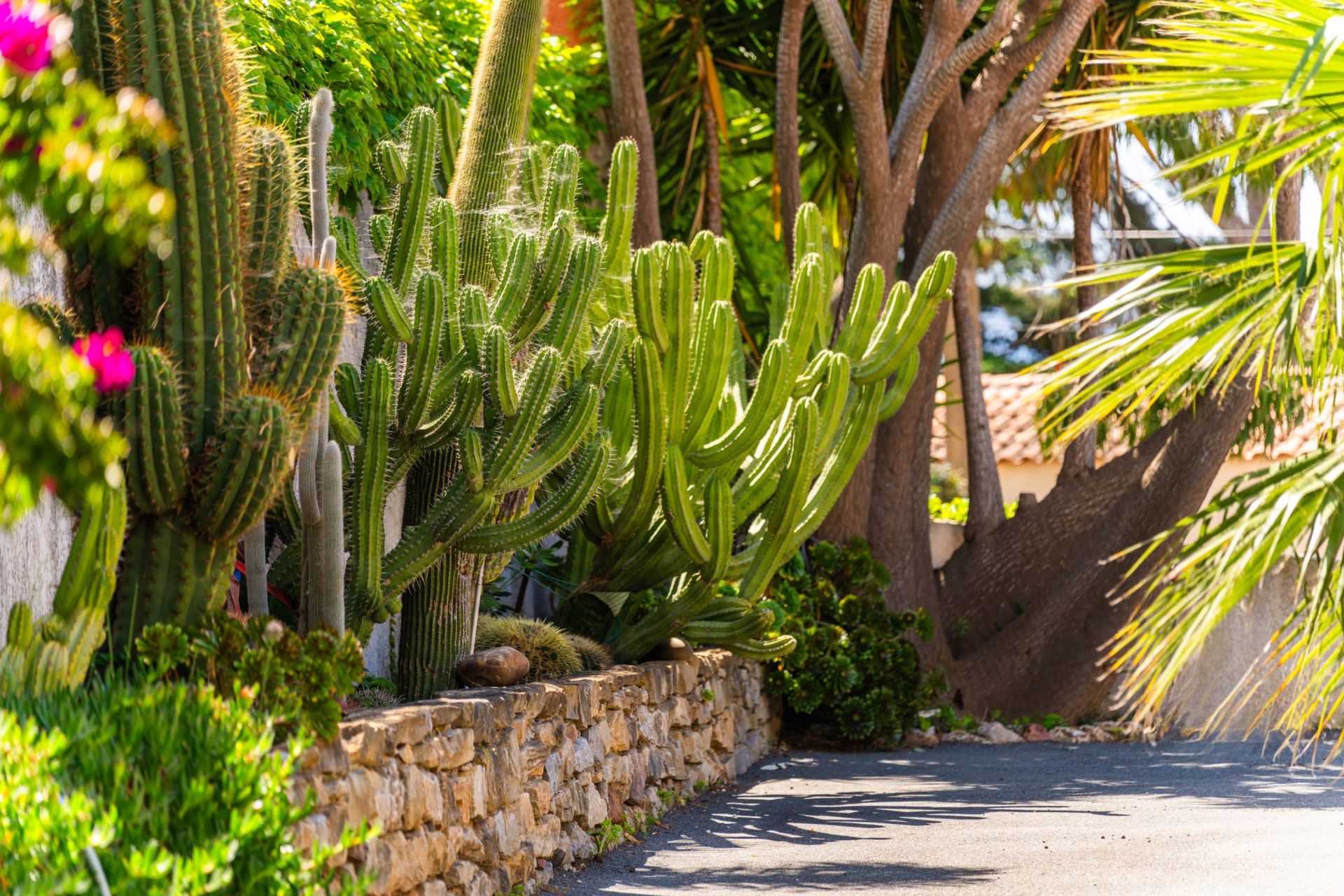 luxury house 10 Rooms for sale on CARQUEIRANNE (83320)