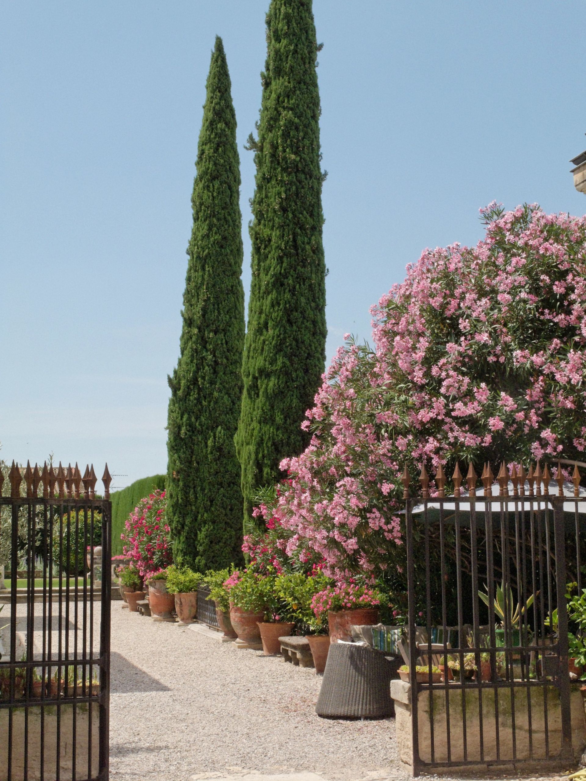 luxury house 12 Rooms for sale on MONTPELLIER (34000)