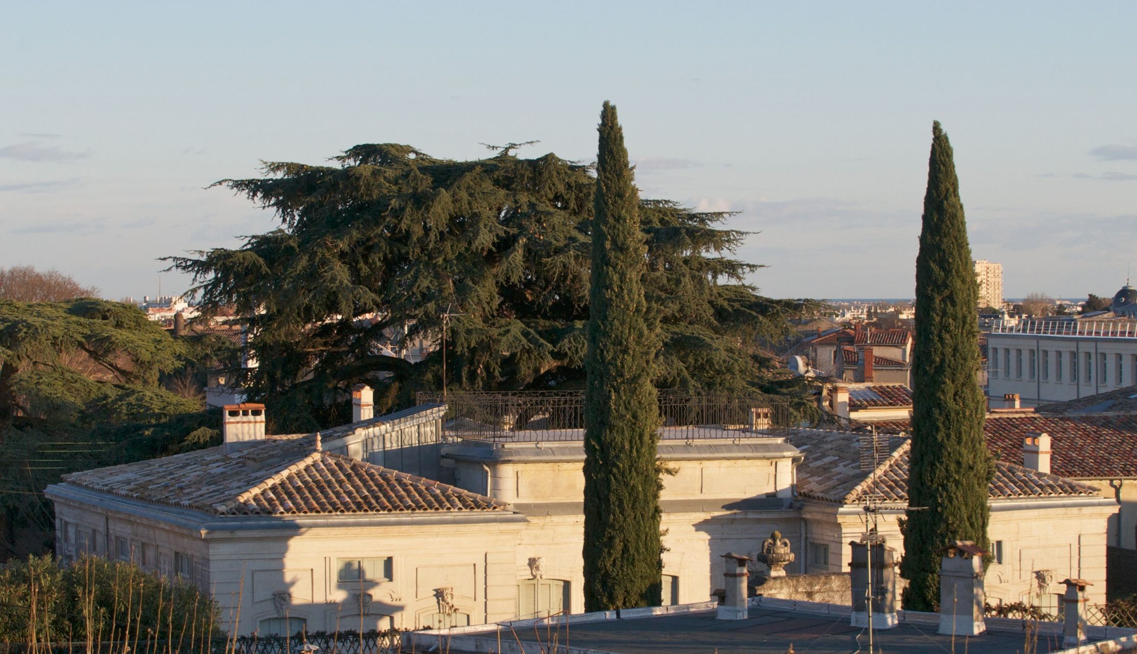 luxury house 12 Rooms for sale on MONTPELLIER (34000)