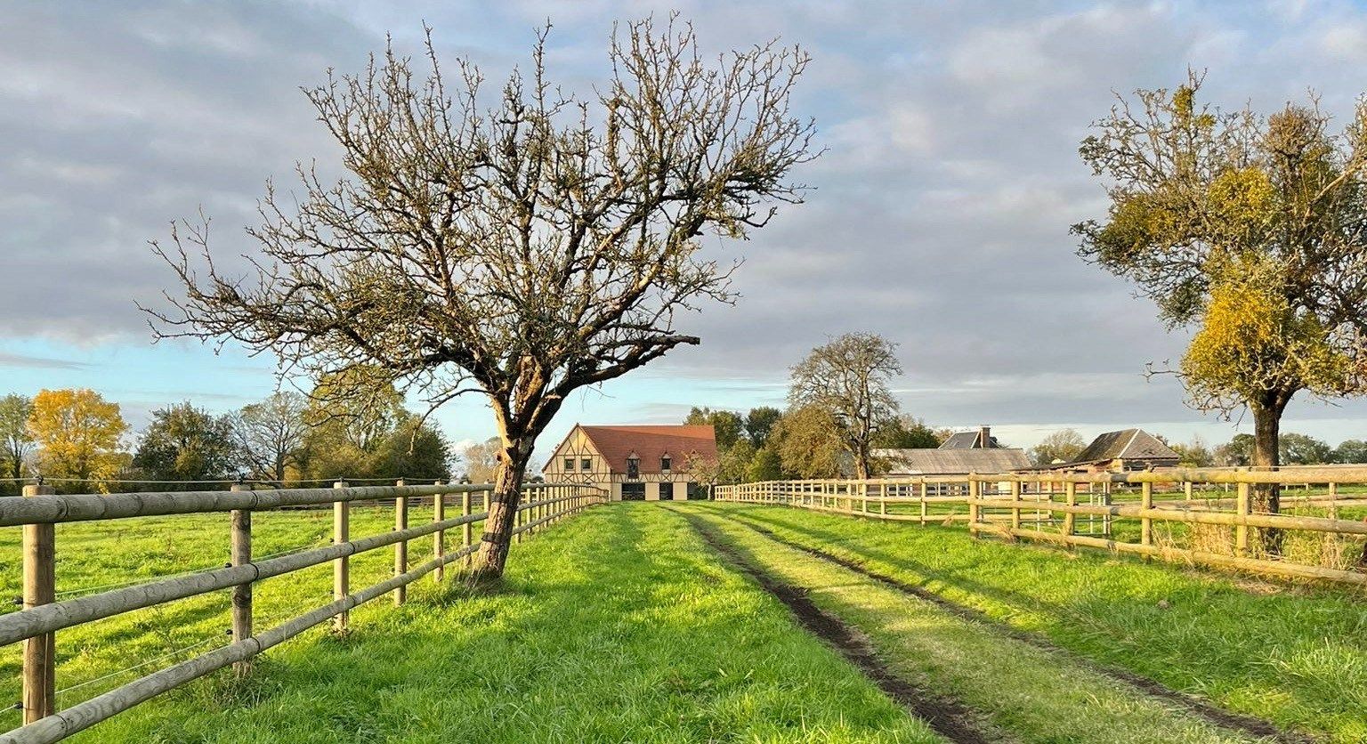 luxury house 9 Rooms for sale on TROUVILLE SUR MER (14360)