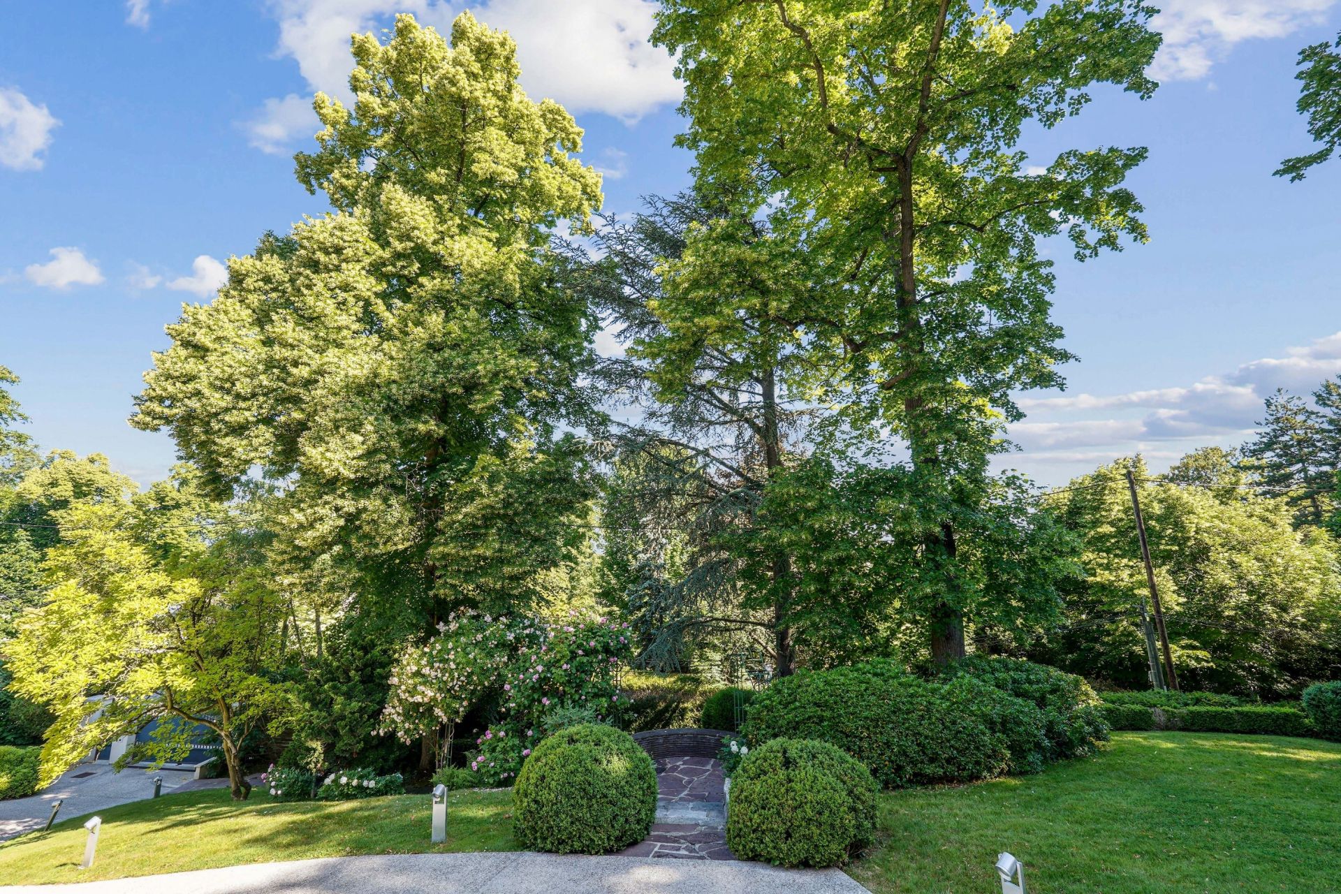 luxury house 12 Rooms for sale on RUEIL MALMAISON (92500)