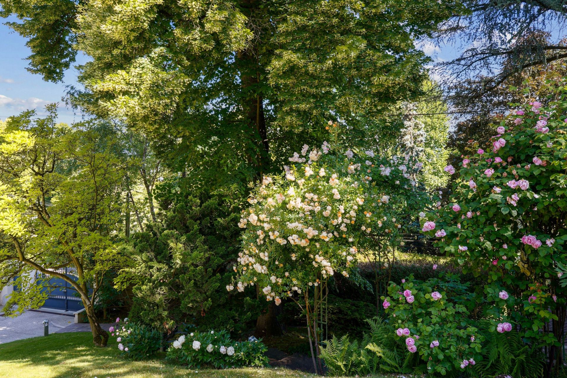 luxury house 12 Rooms for sale on RUEIL MALMAISON (92500)