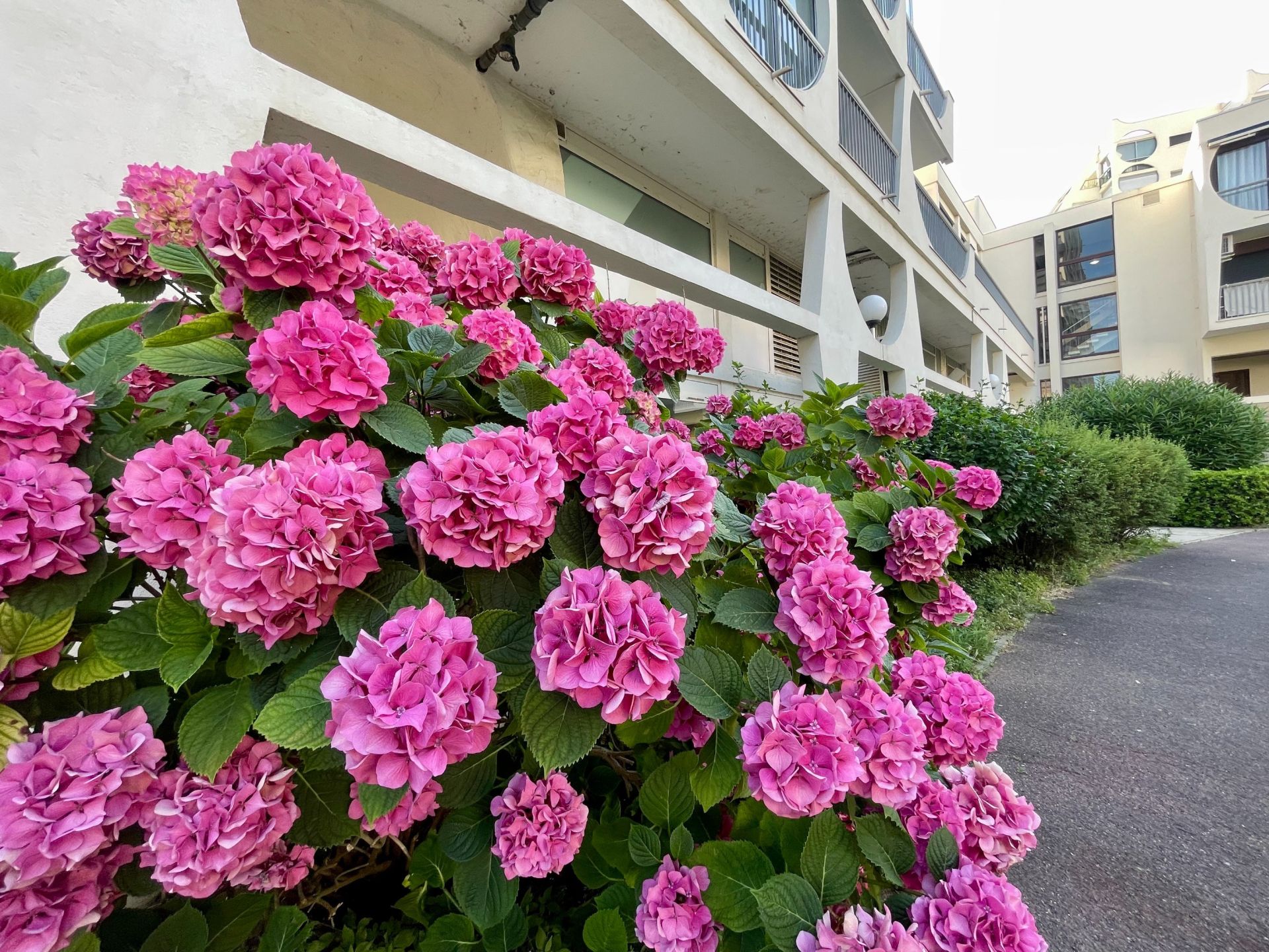 luxury apartment 3 Rooms for sale on LA GRANDE MOTTE (34280)