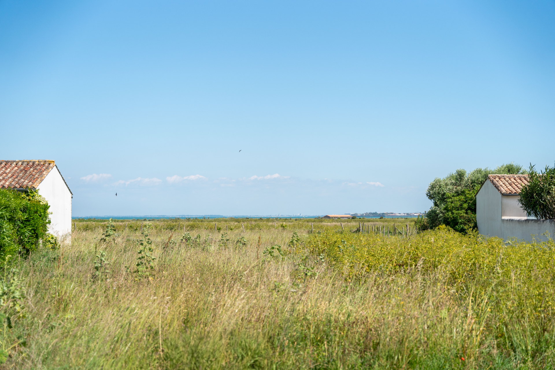 maison de luxe 1 pièce en vente sur LOIX (17111)