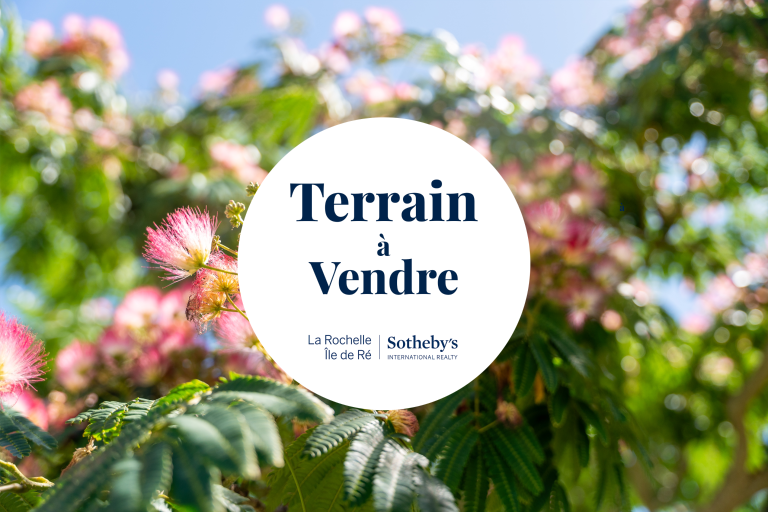 maison de luxe 1 pièce en vente sur LOIX (17111)