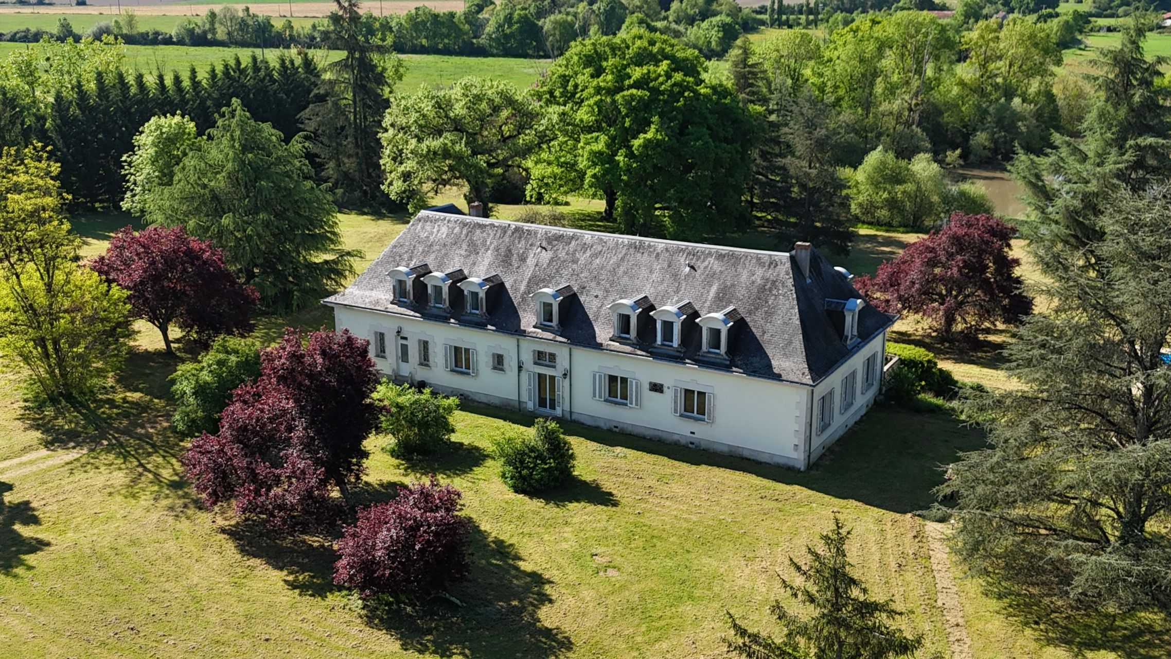 propriété de chasse de luxe 16 Pièces en vente sur SACHE (37190)
