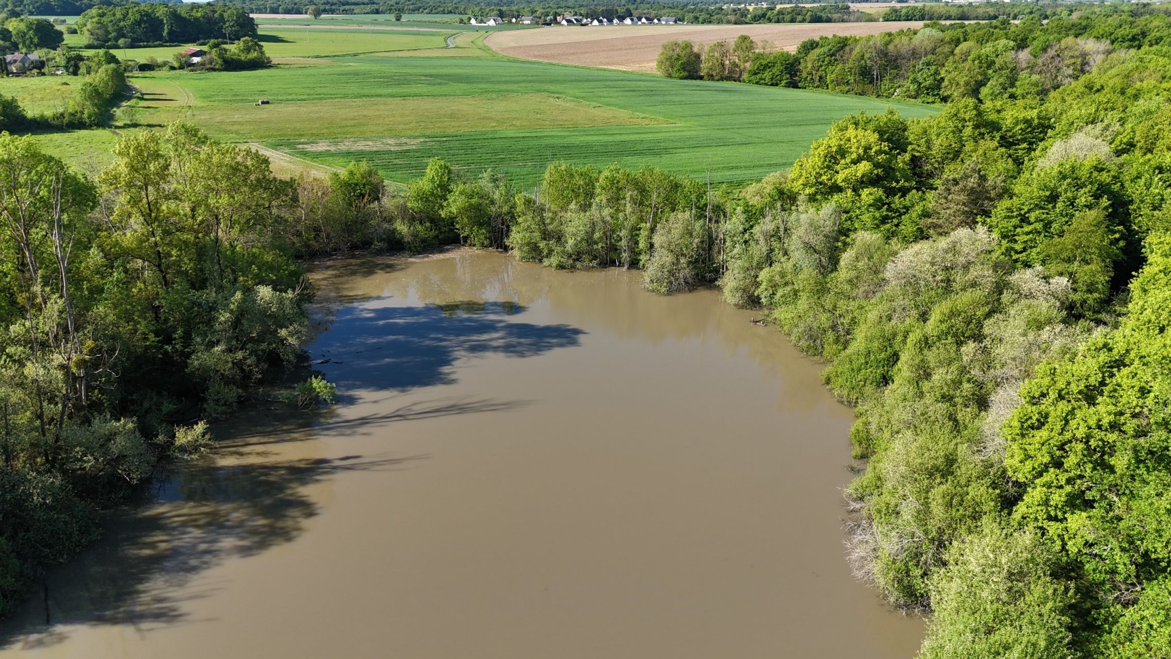 luxury property of hunting 16 Rooms for sale on SACHE (37190)