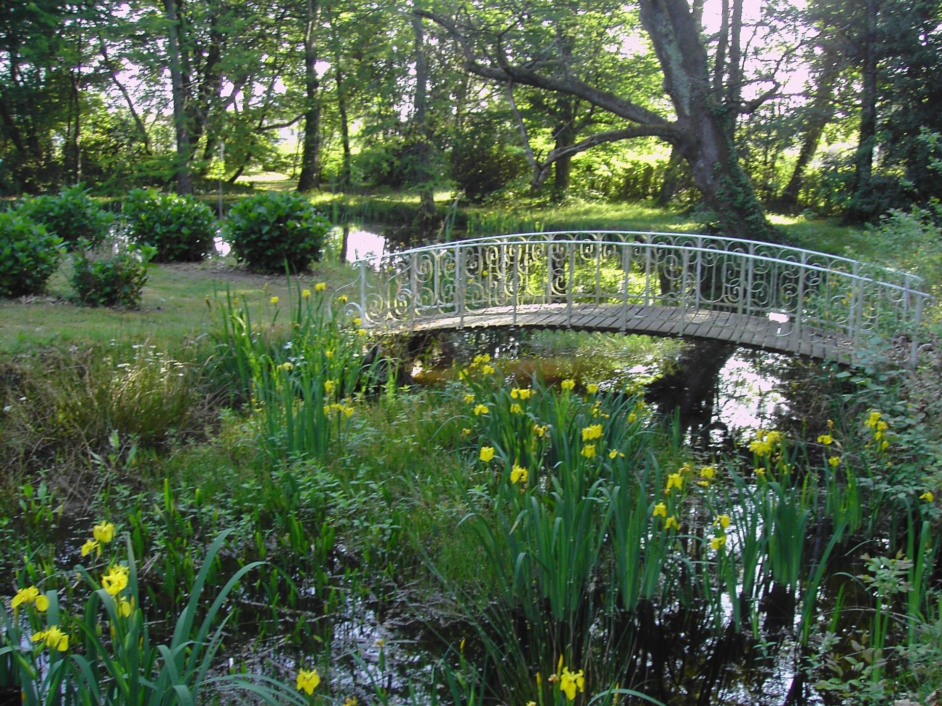 castle 15 Rooms for sale on DAX (40100)