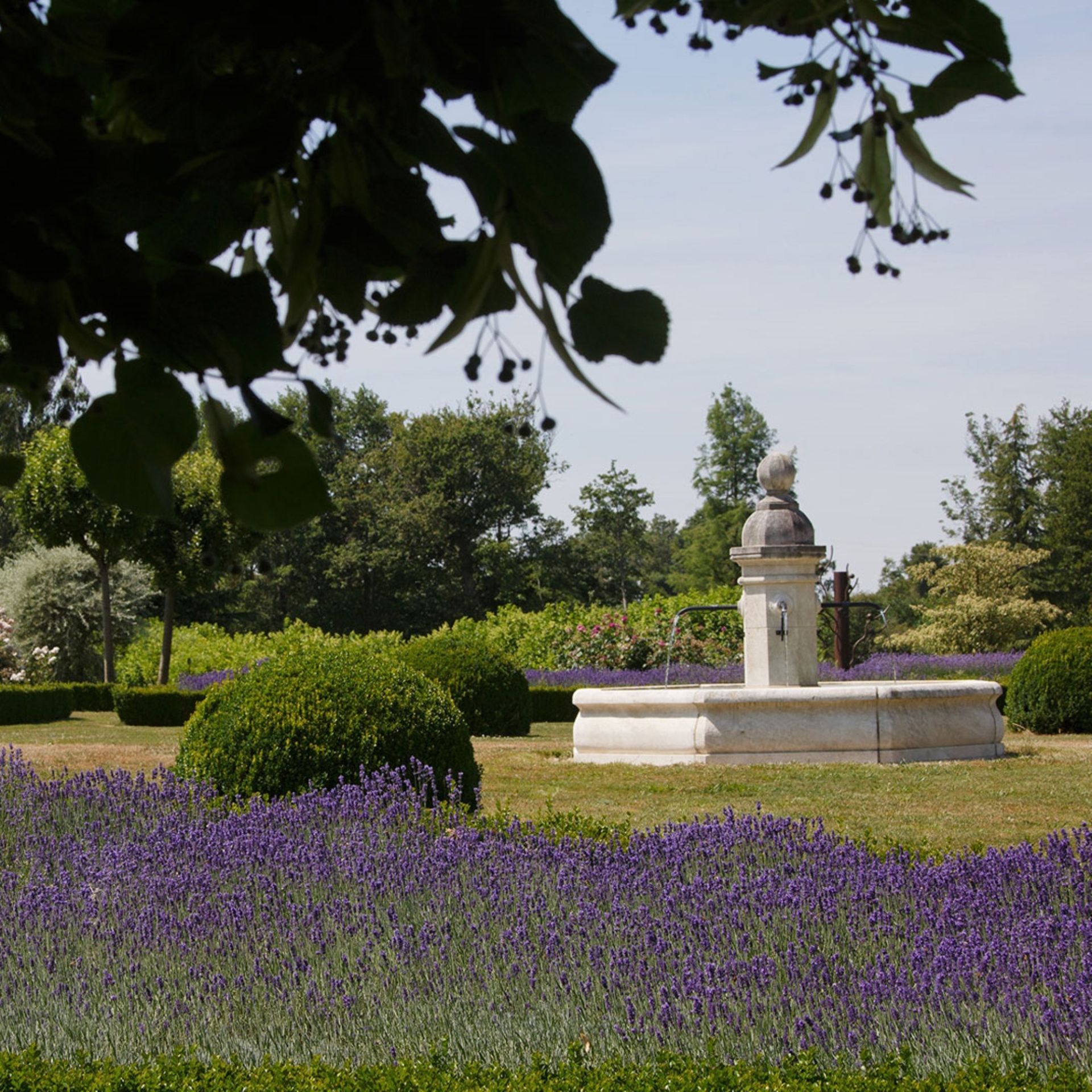 propriété de luxe 20 Pièces en vente sur TOUCY (89130)