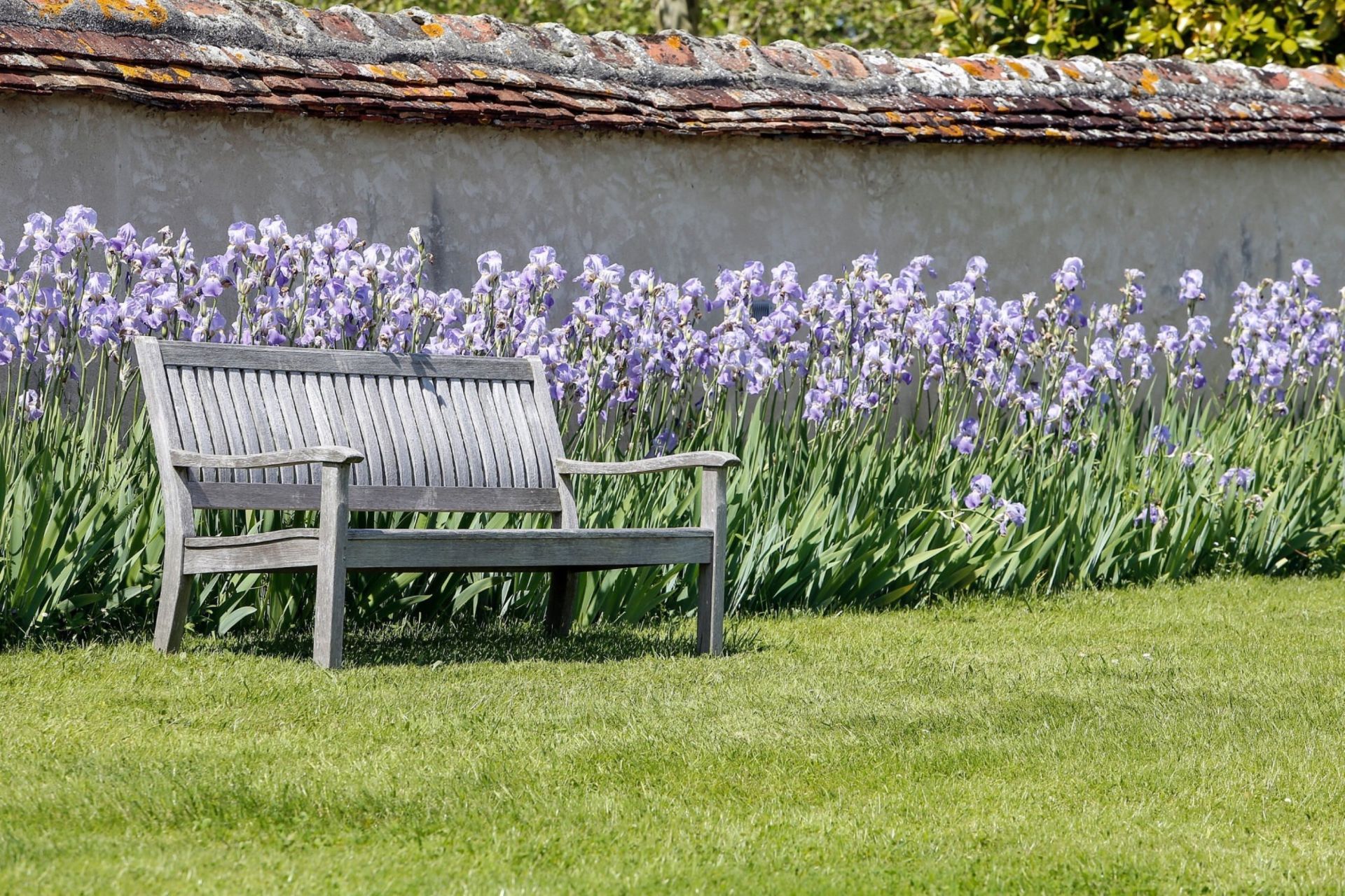 propriété de luxe 20 Pièces en vente sur TOUCY (89130)