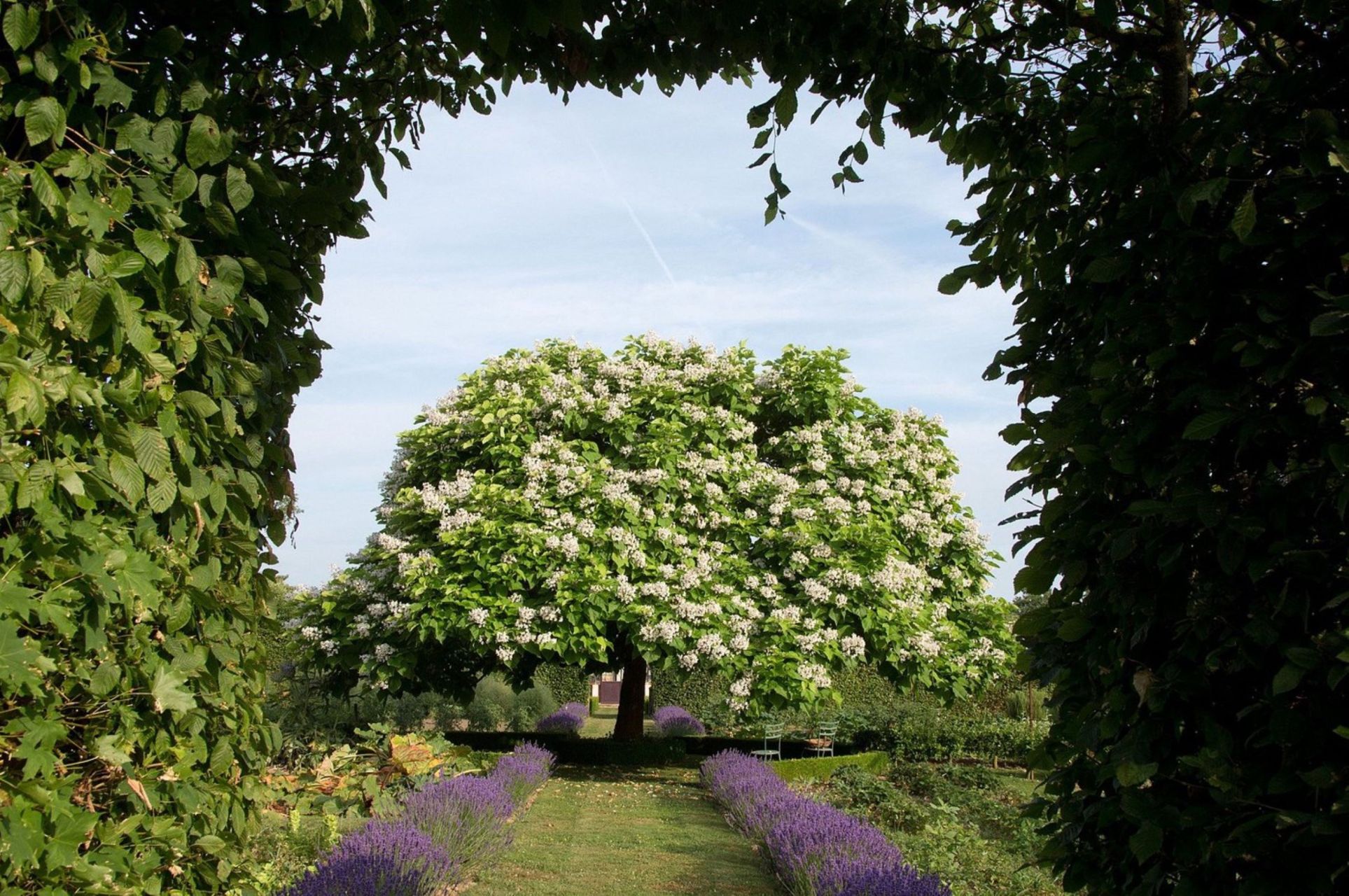 propriété de luxe 20 Pièces en vente sur TOUCY (89130)